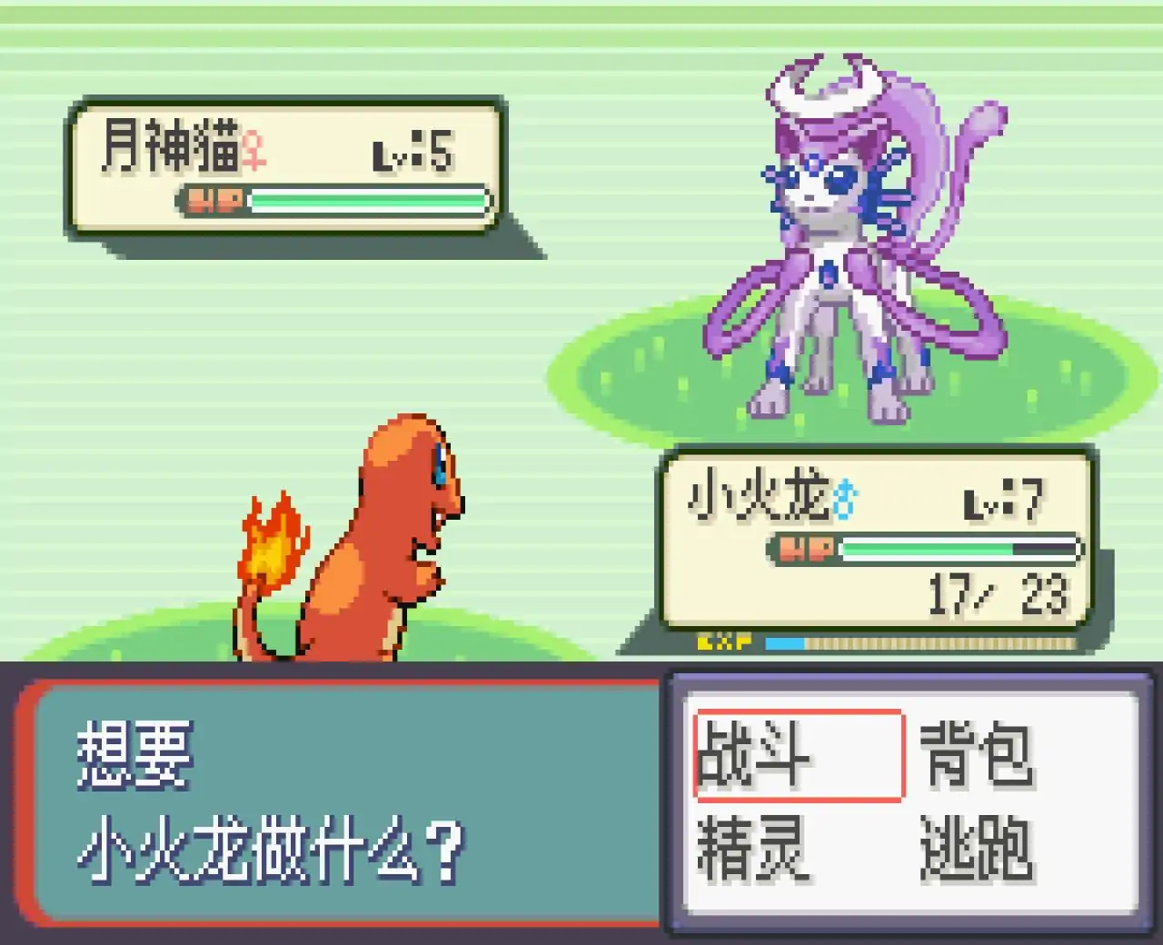 宝可梦命运红宝石3生命守护者