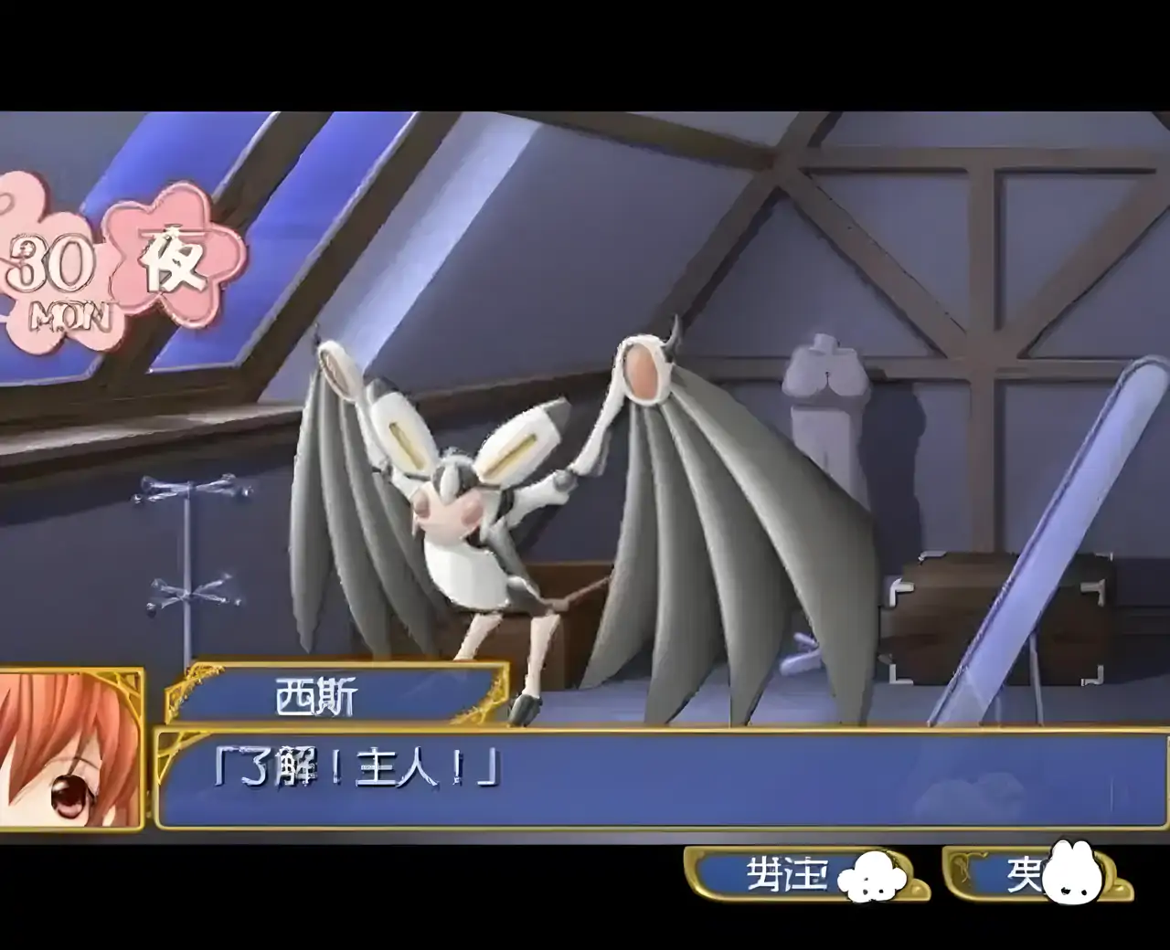 杏仁怪盗(PSP游戏)