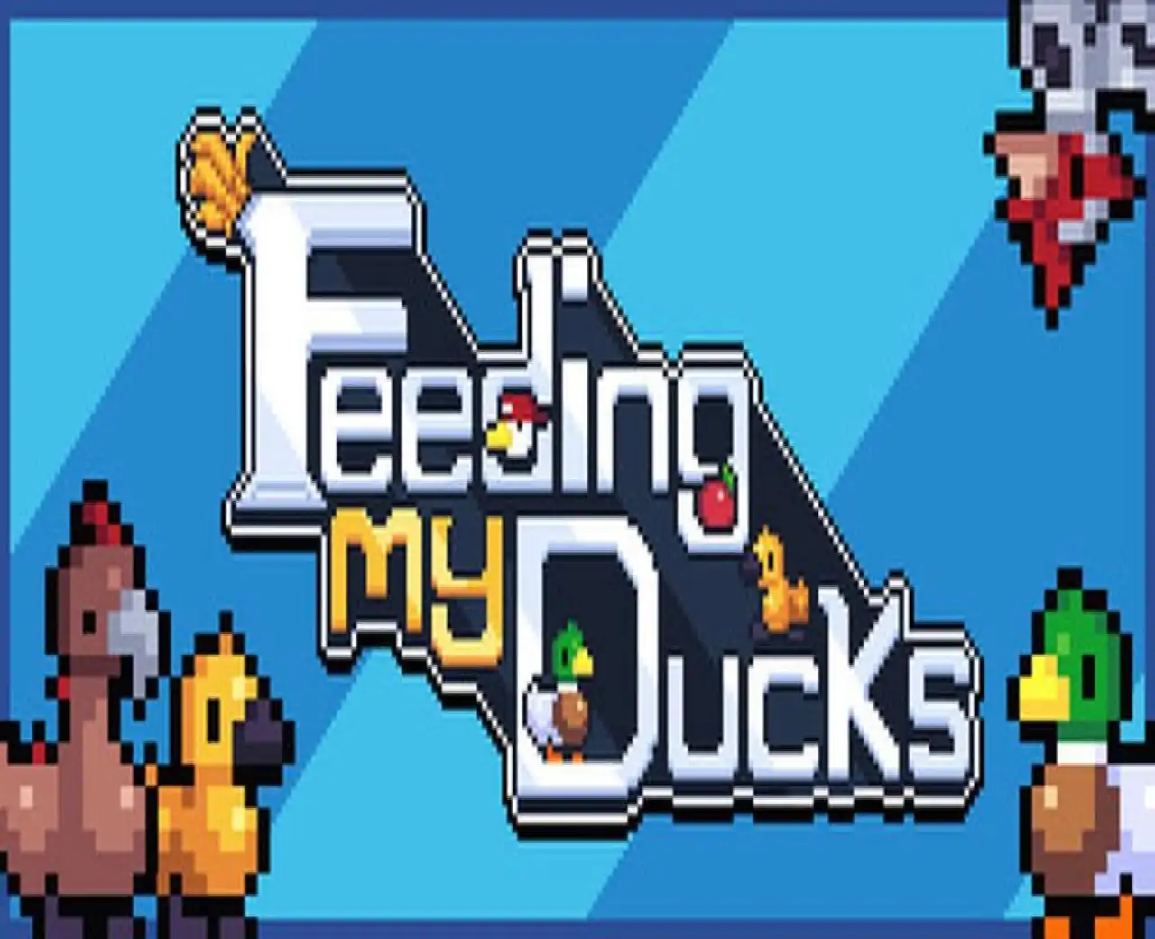 Feeding My Ducks