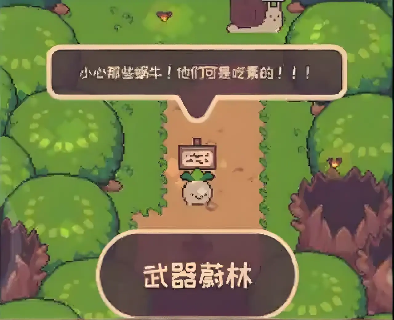 大头菜小子避税历险记