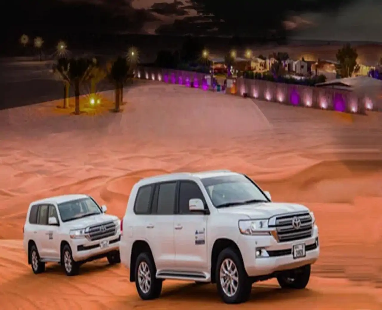 迪拜野生动物园普拉多竞赛