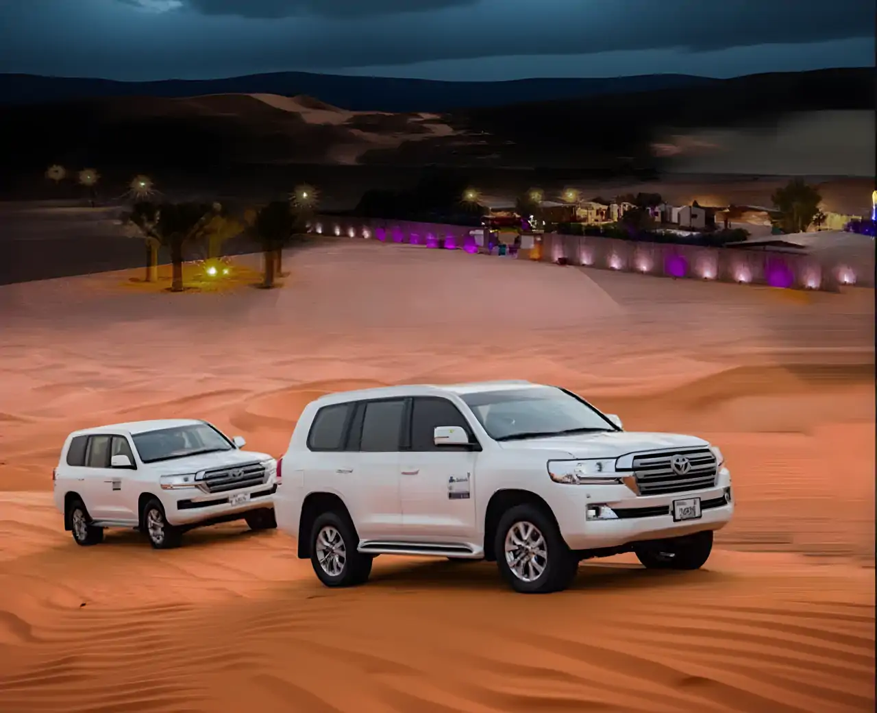 迪拜野生动物园普拉多竞赛