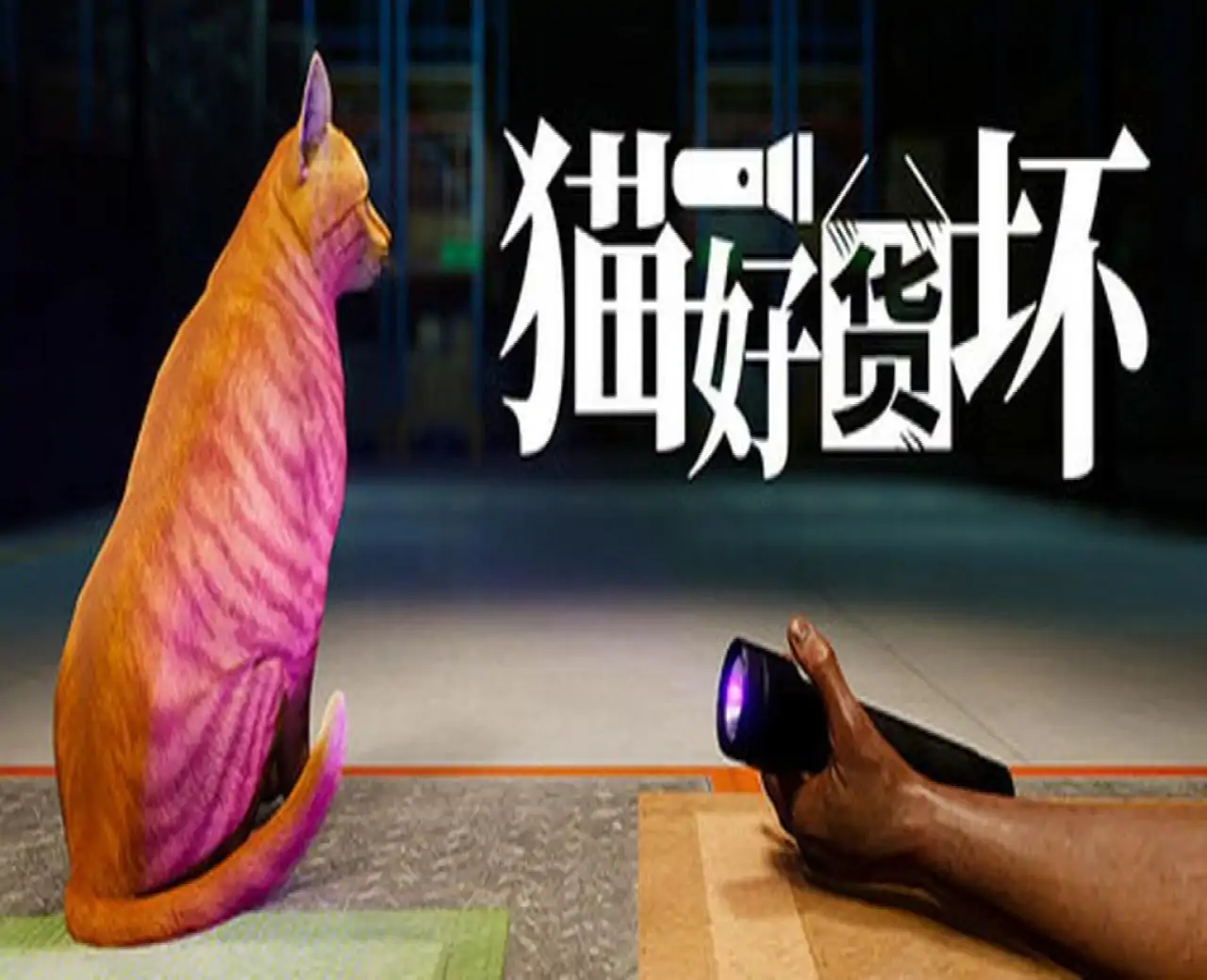 猫好货坏