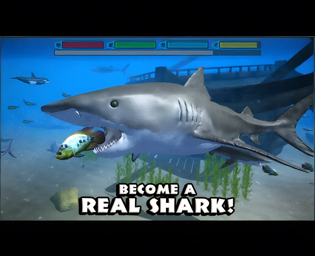 终极鲨鱼模拟器