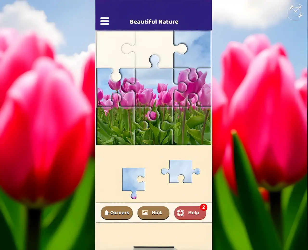 美丽的自然拼图