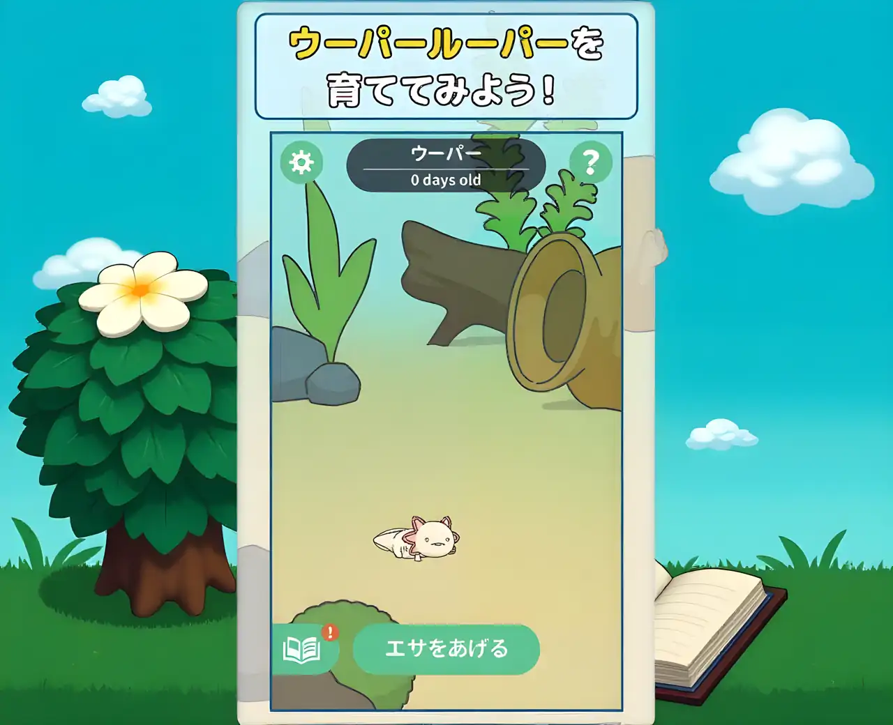 生命是对蝾螈的观察