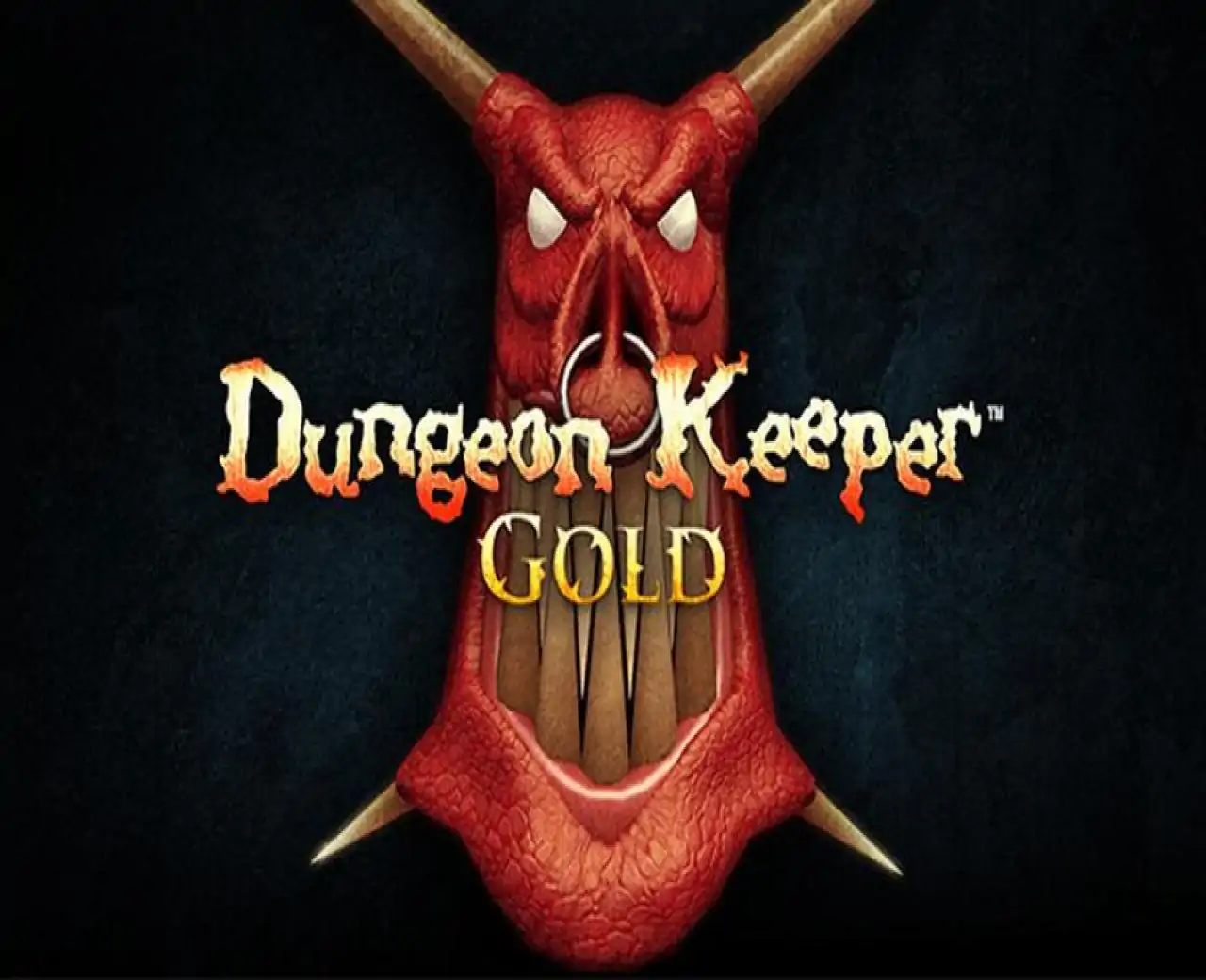 《地下城守护者黄金版™》