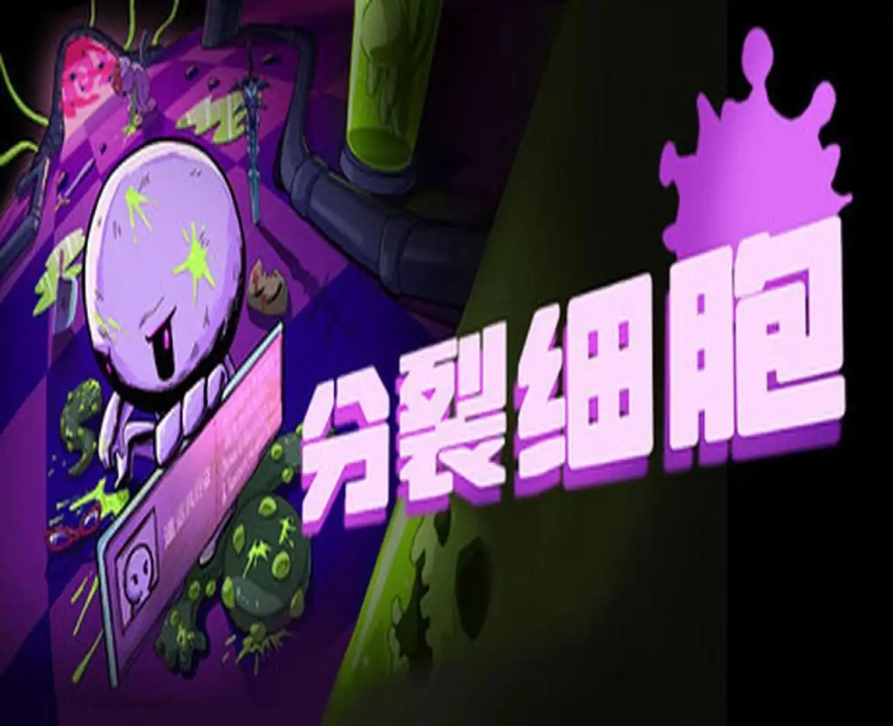 分裂细胞 (Cells of Division)