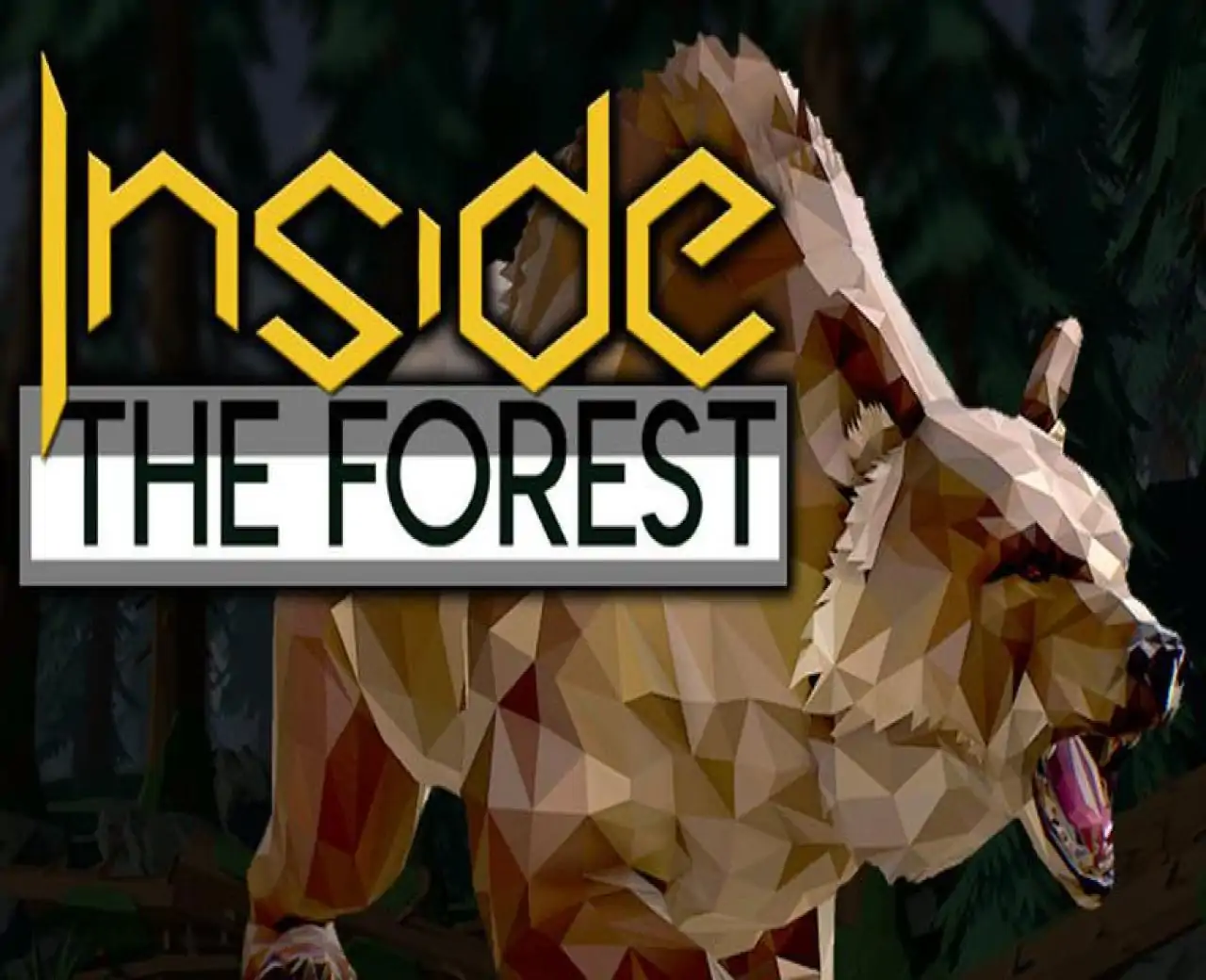 Inside the Forest