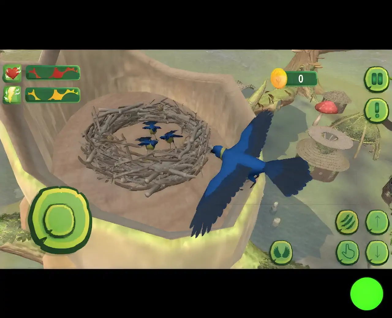 野生金刚鹦鹉鹦鹉游戏