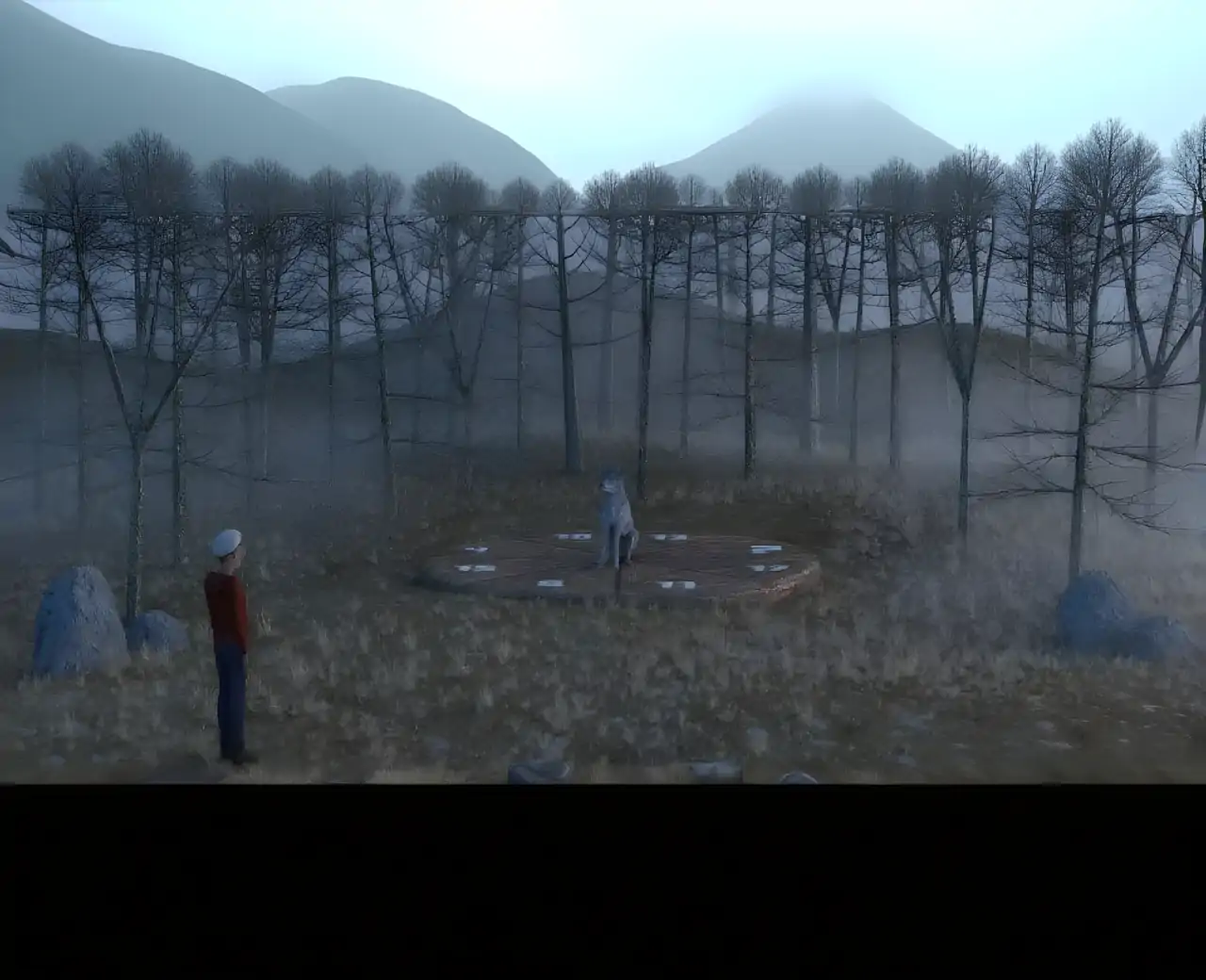 森林探险与谜团