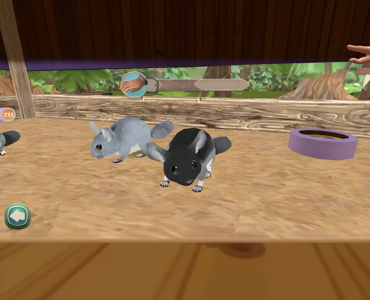 宠物旅馆——我的可爱动物旅馆