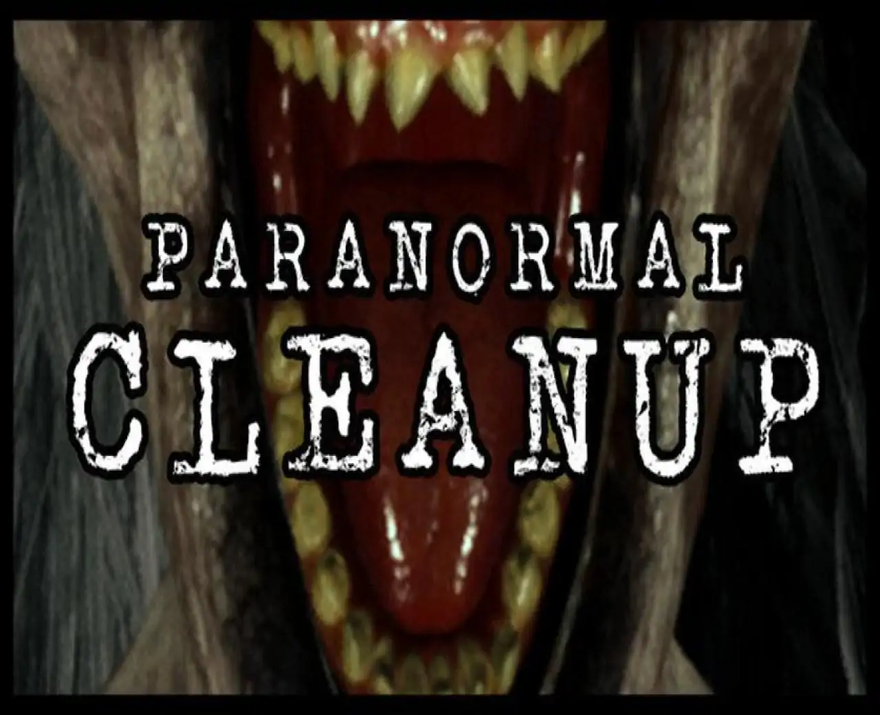 Paranormal Cleanup