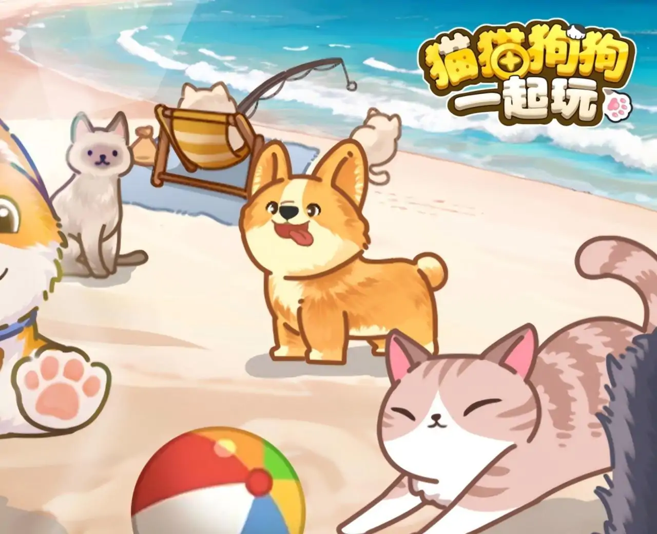 猫猫狗狗一起玩