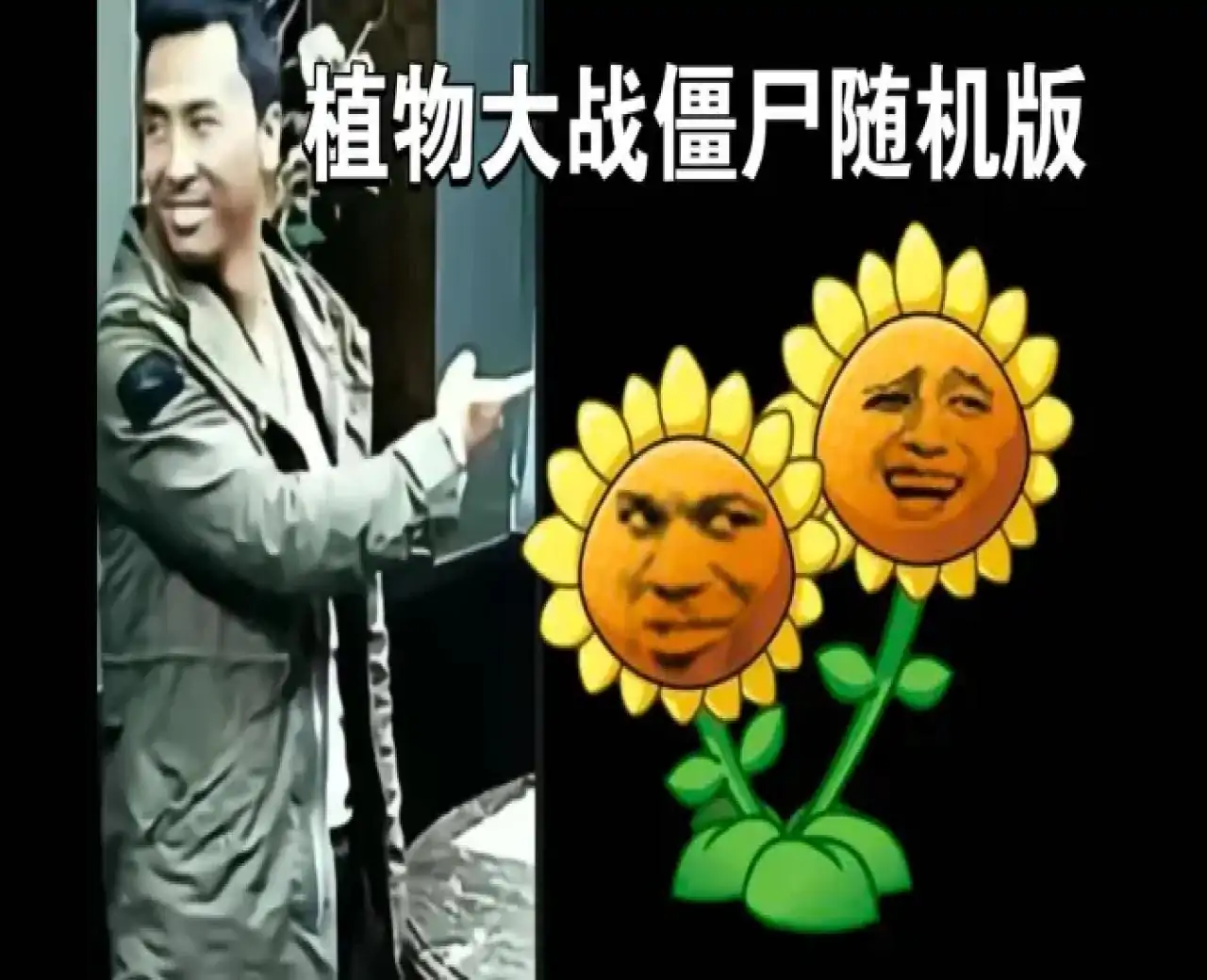 植物大战僵尸触控版(随机植物随机僵尸)