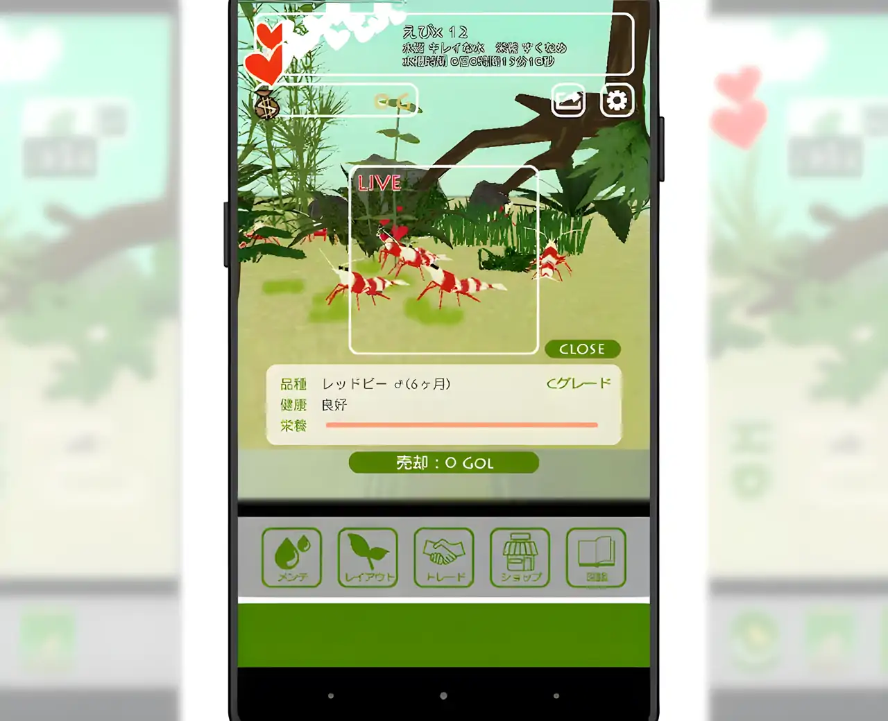 虾天堂-在水族箱中饲养虾