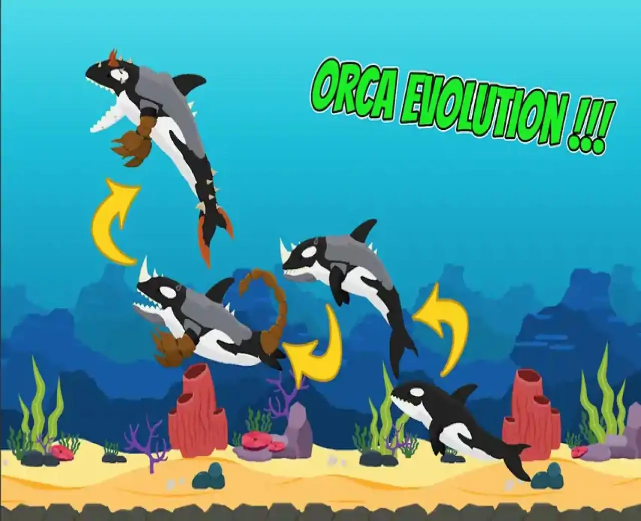 混合竞技场：大白鲨大战虎鲸