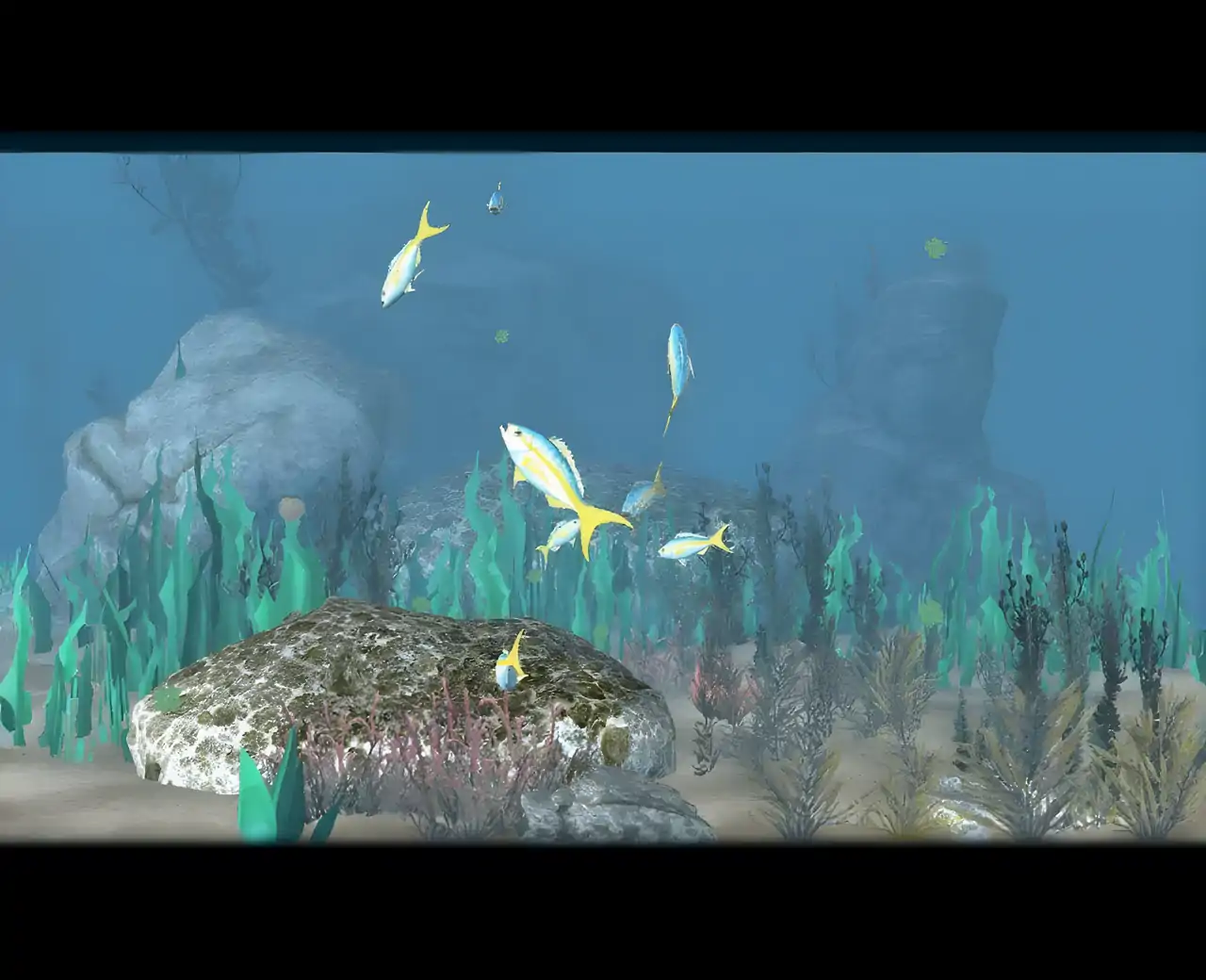 海洋狩猎：打鱼