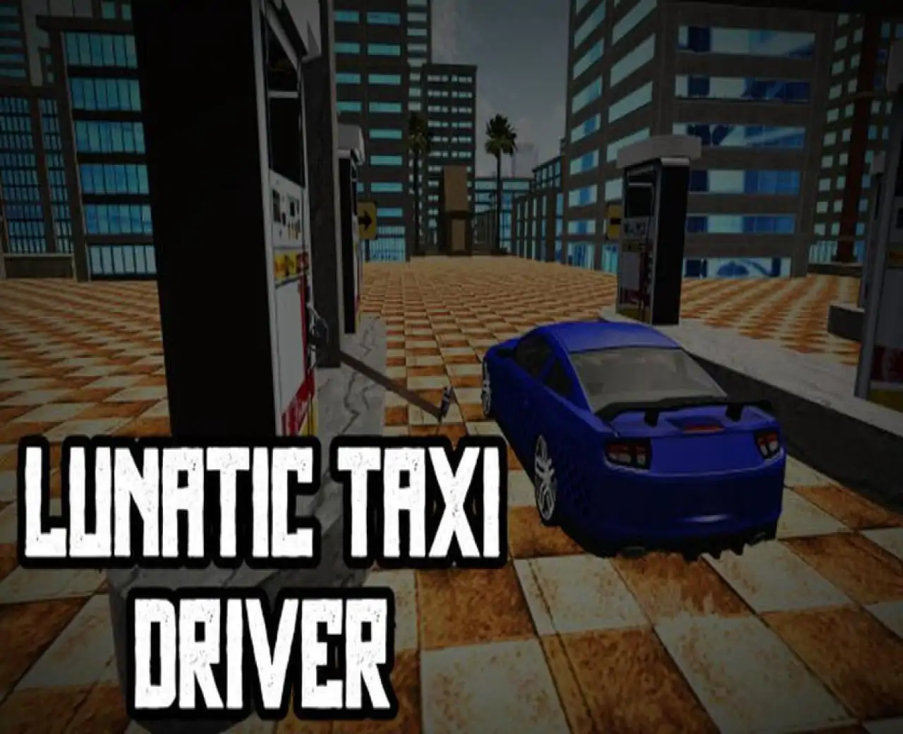 Lunatic Taxi Driver