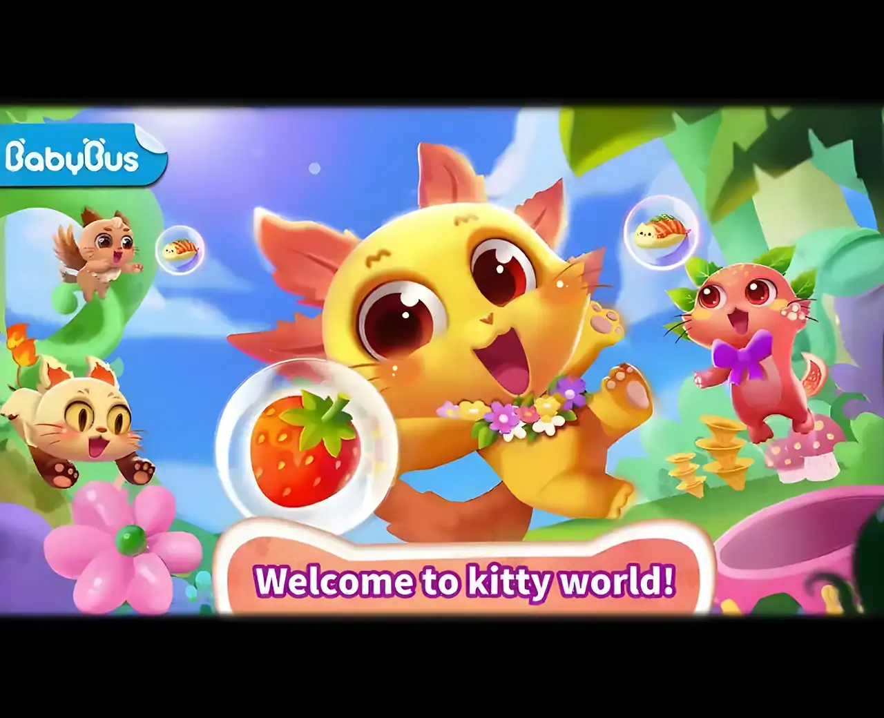 小熊猫的小猫世界