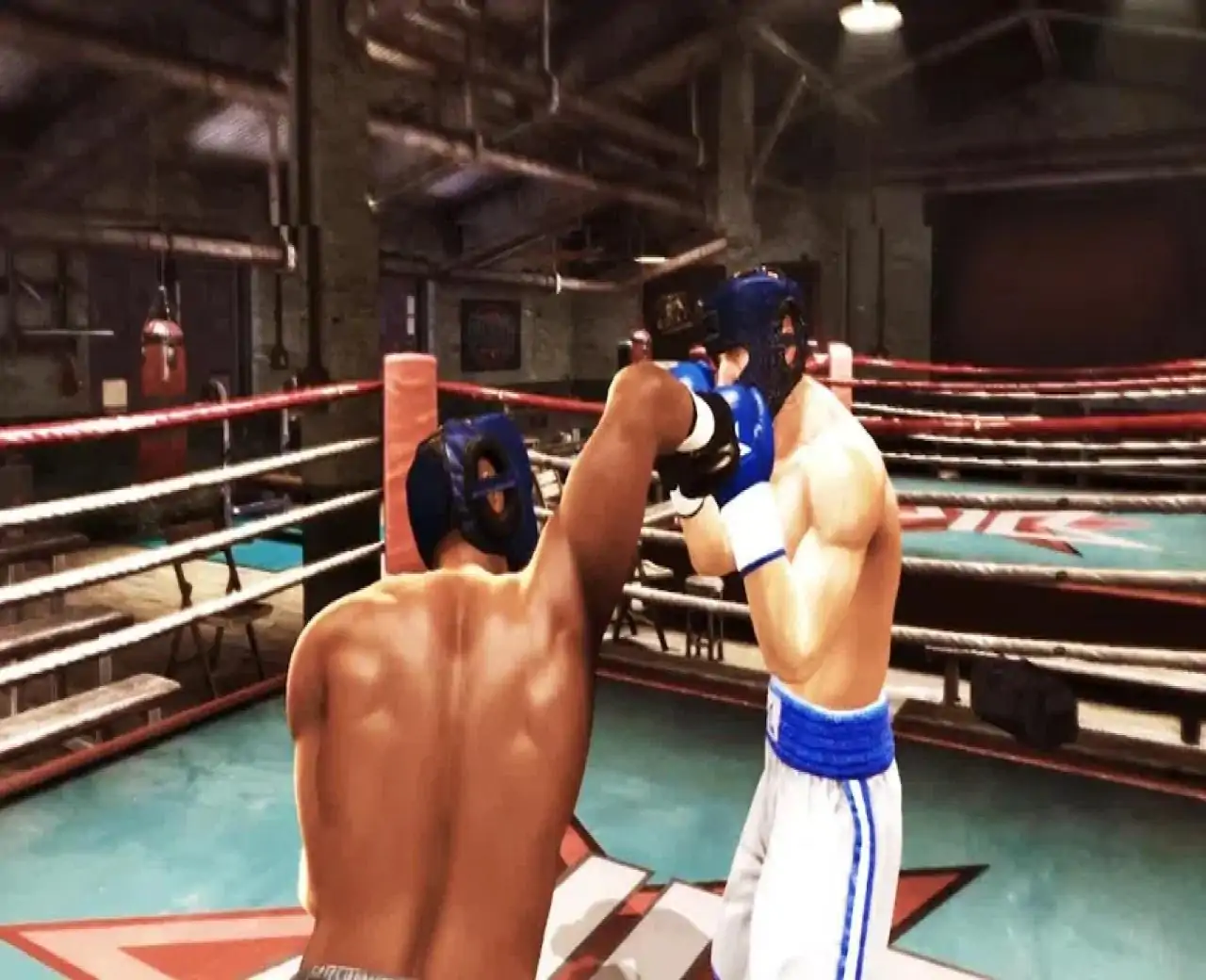 RealBodyBuilderFighting2020:世界双打