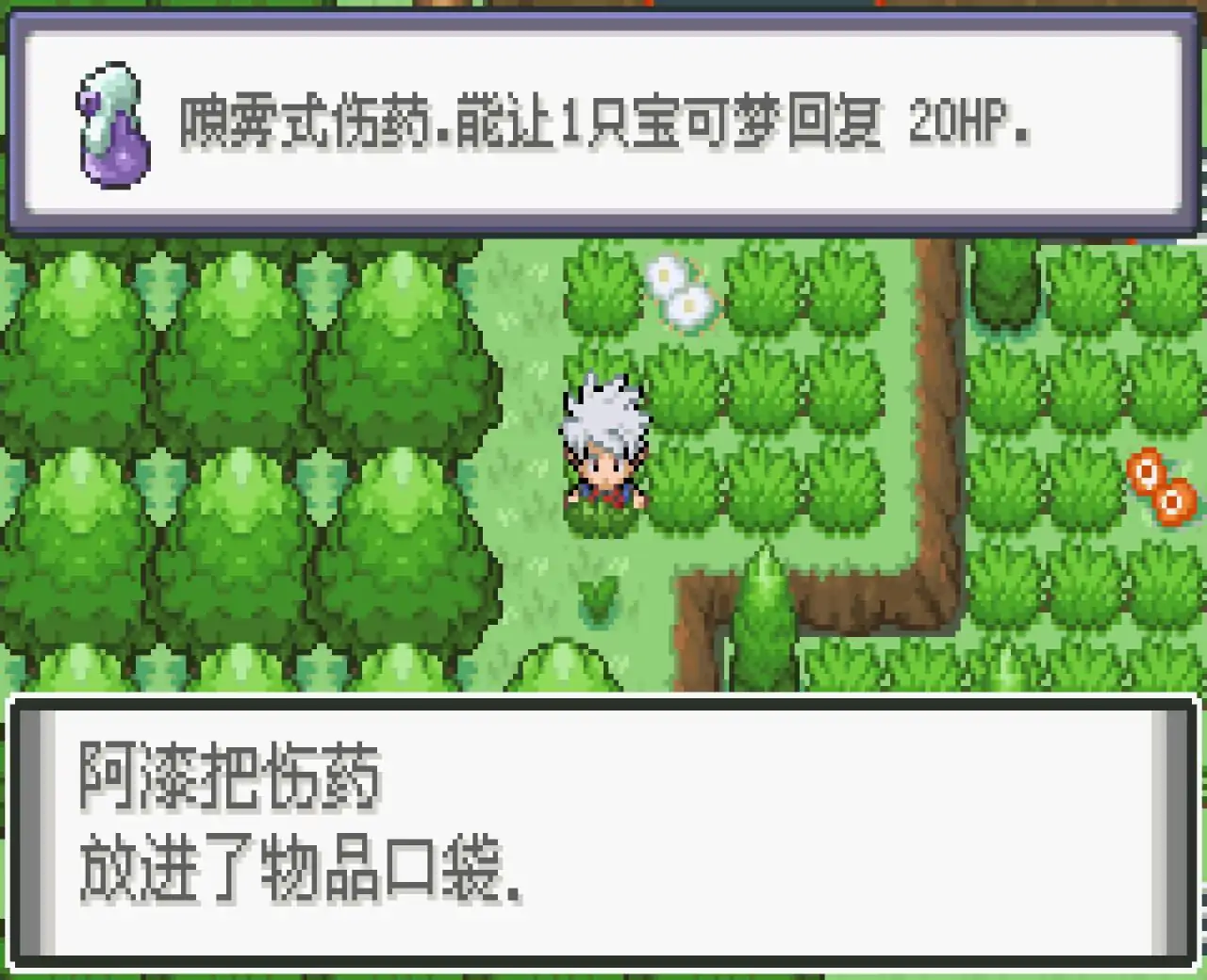 宝可梦黑暗崇拜（GBA游戏）