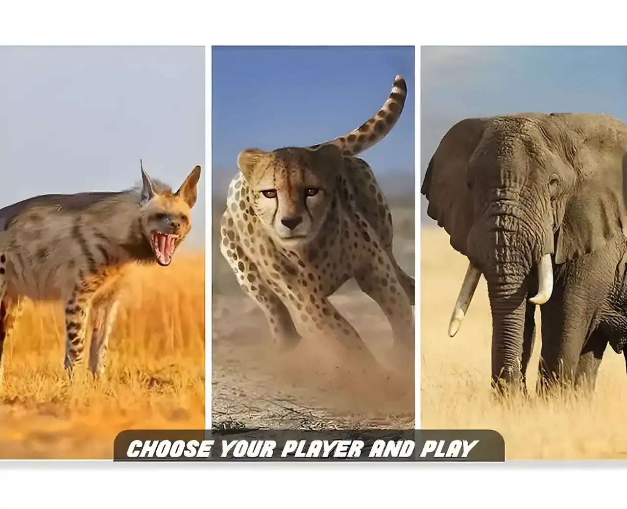 野生动物稀树草原模拟器