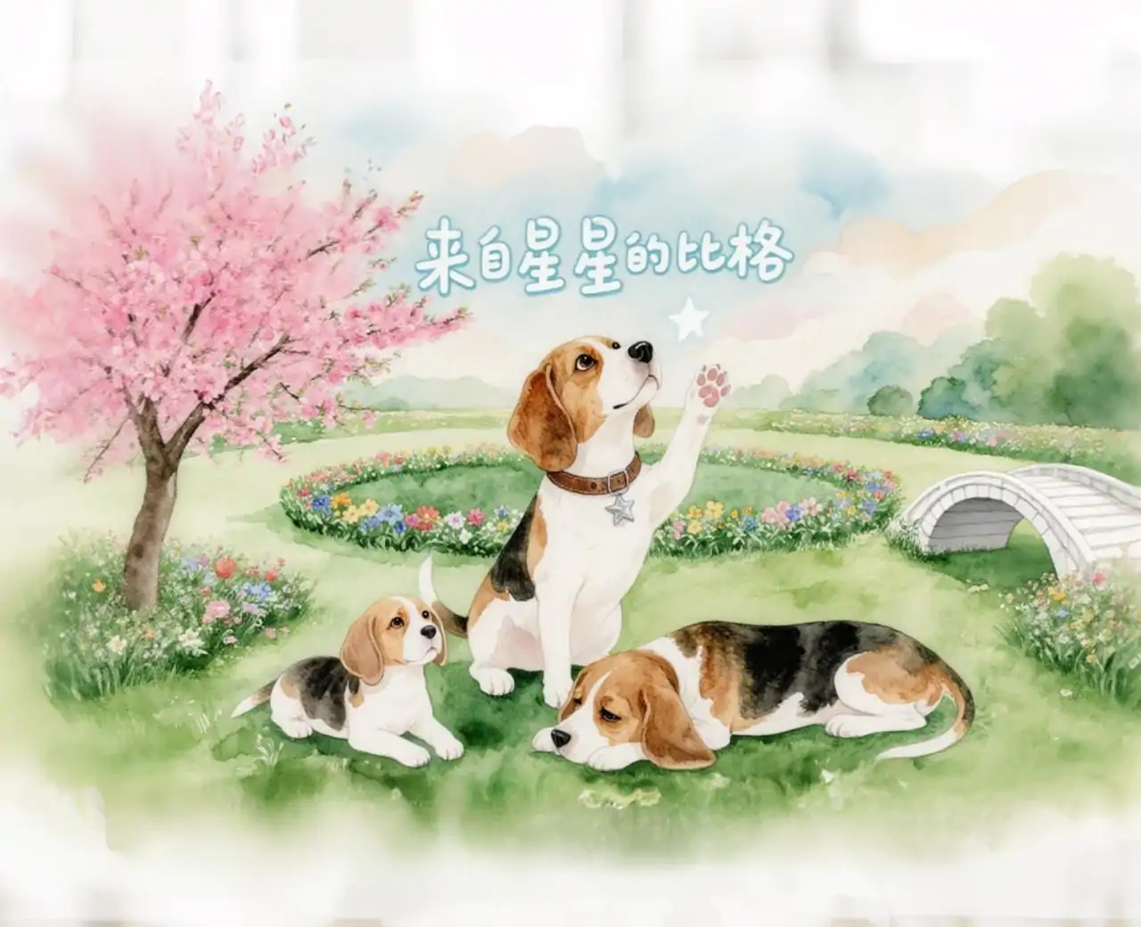 来自星星的比格