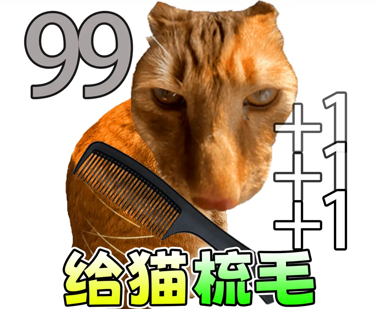 你在逗我吗