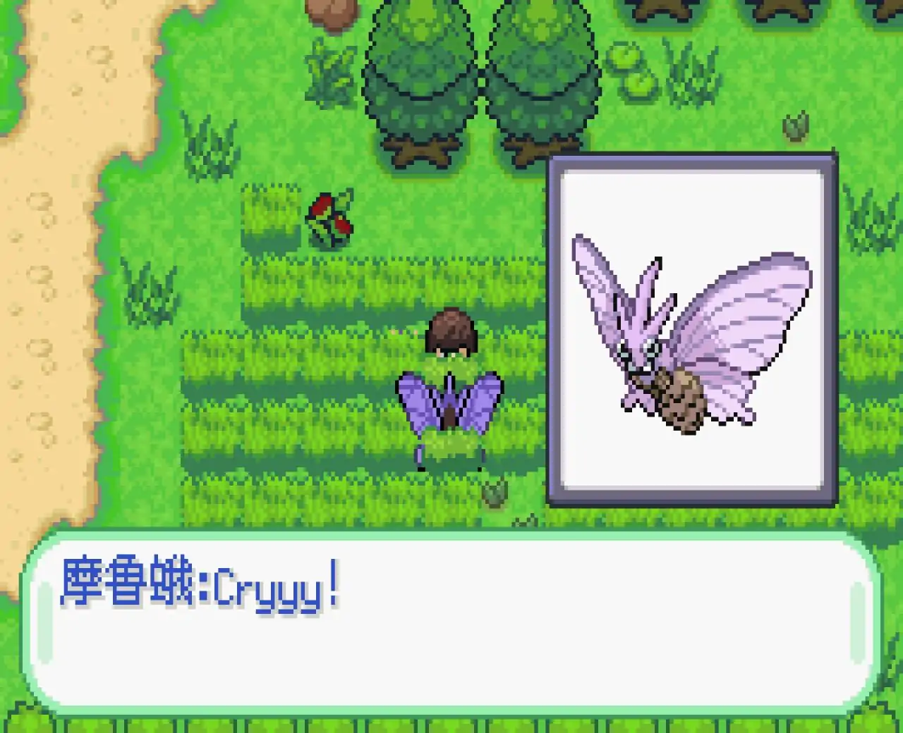 宝可梦青苔[简单版]