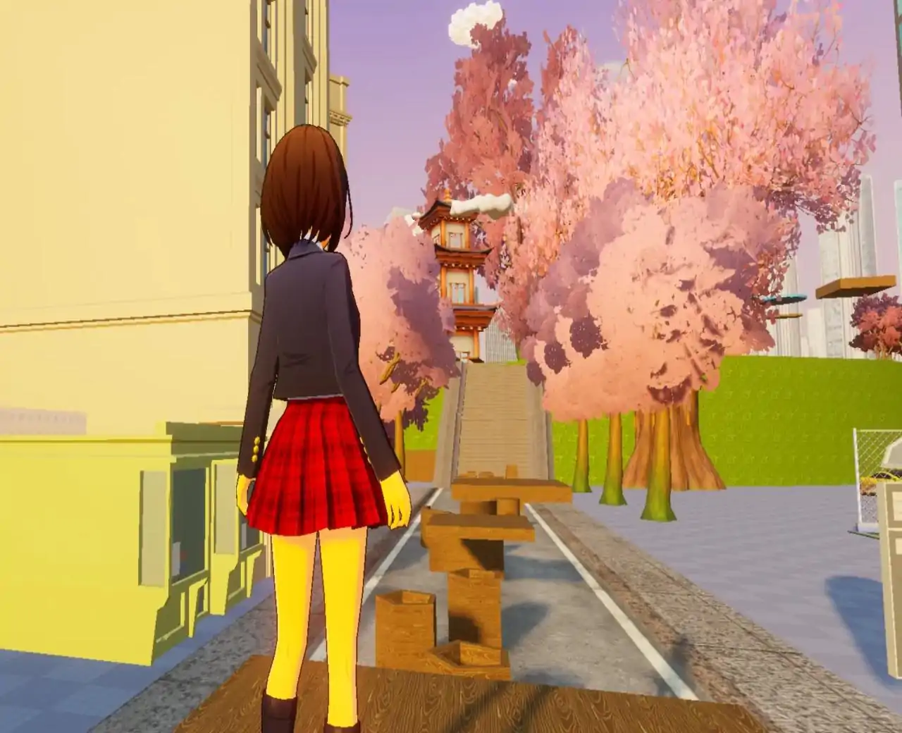 樱花大道