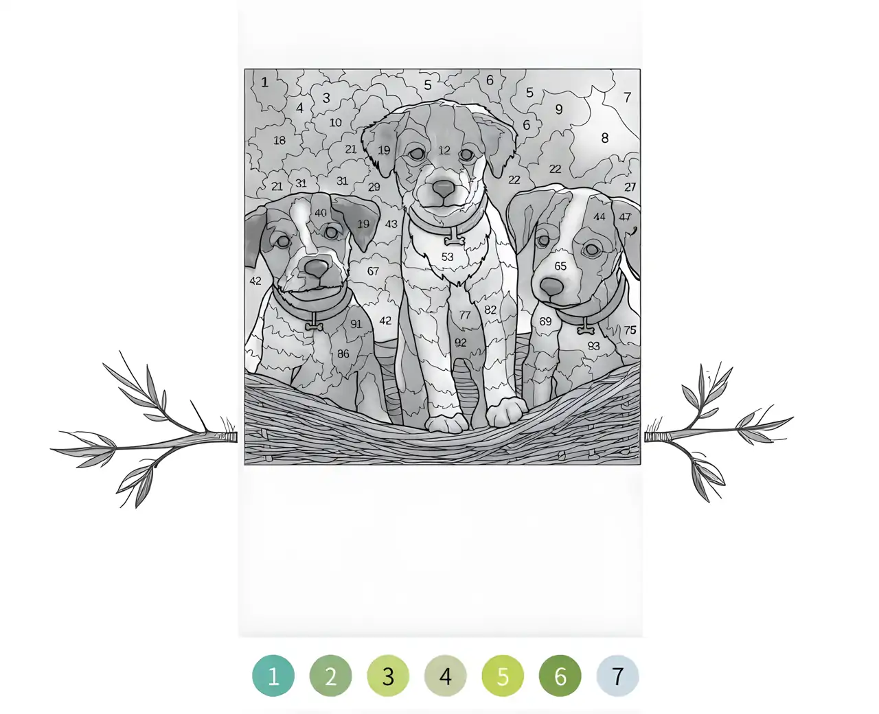 一起涂色：按数字涂色