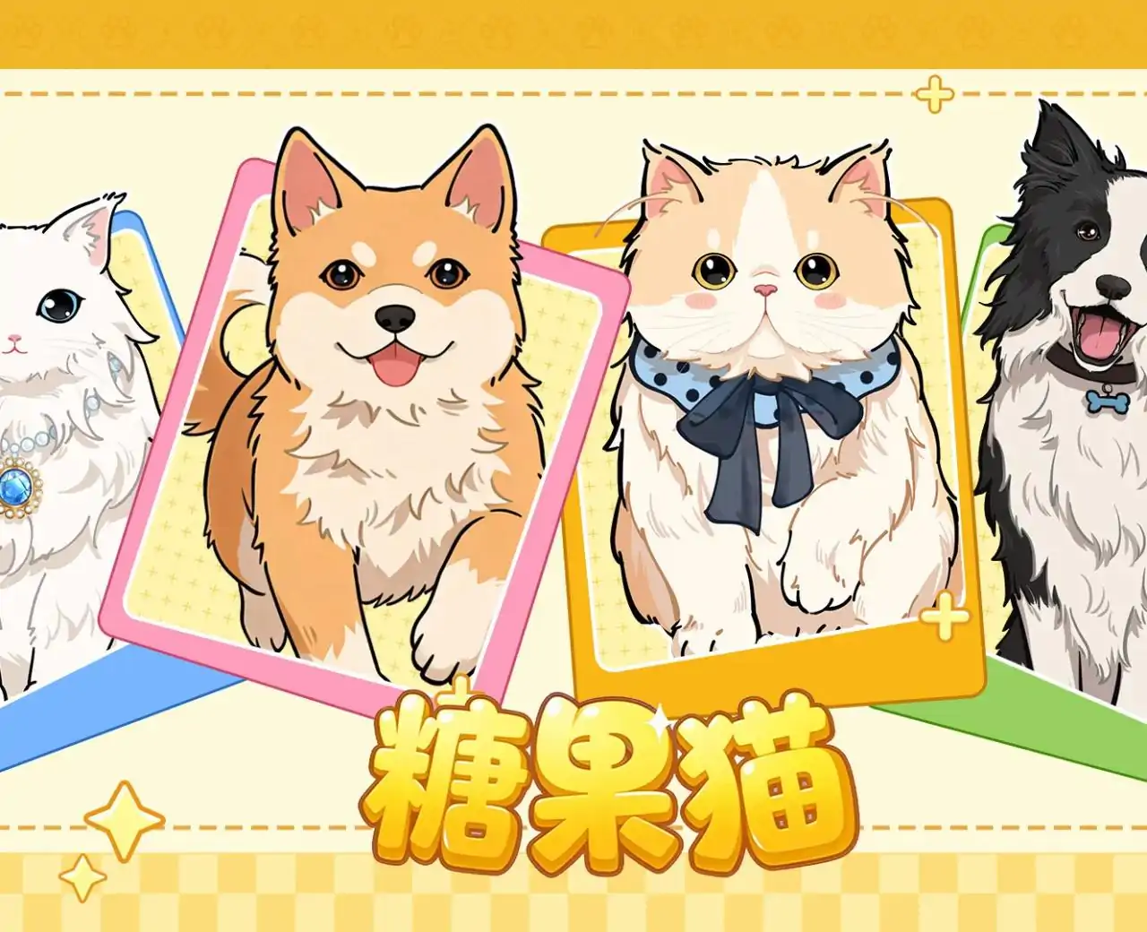 糖果猫