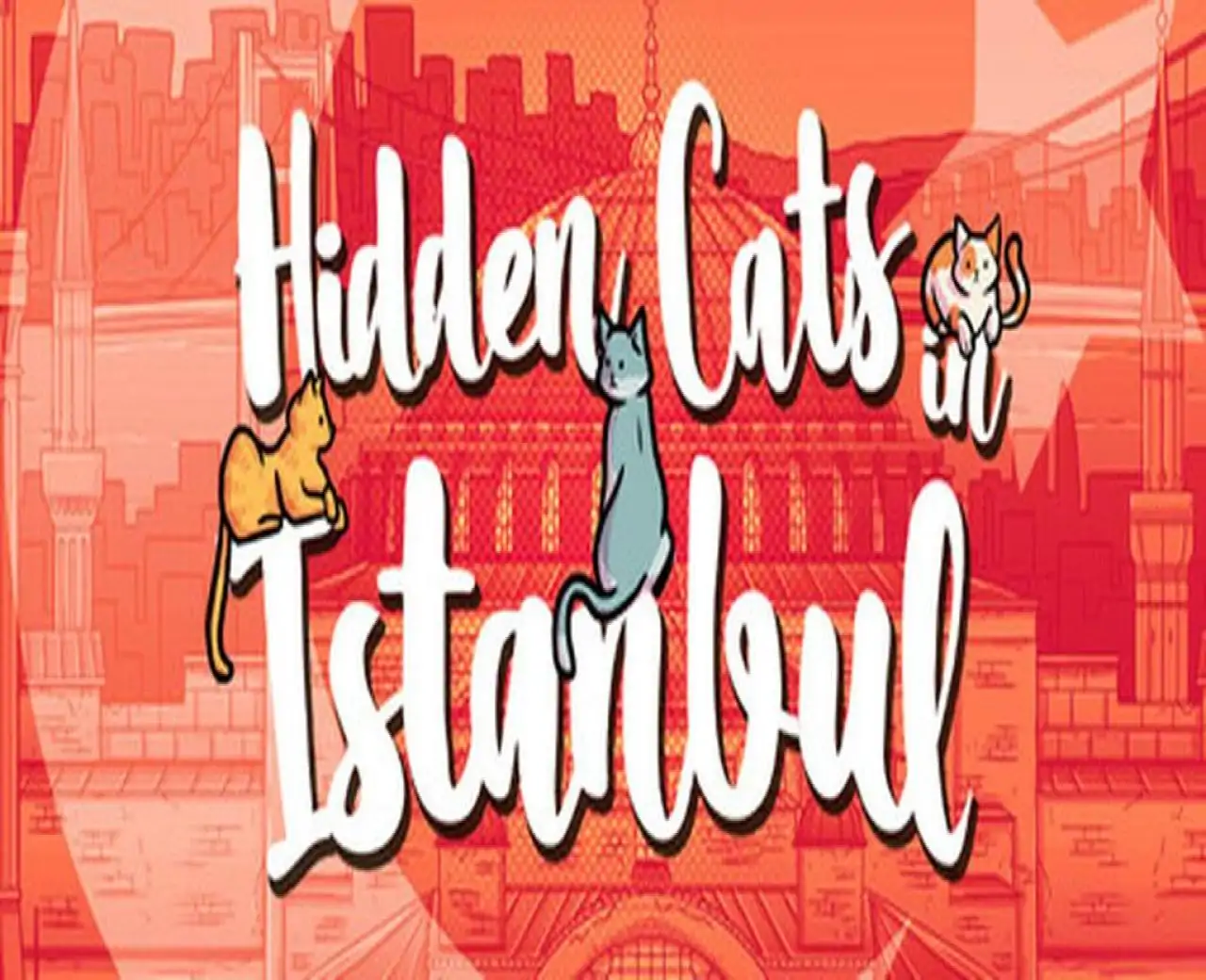 Hidden Cats in Istanbul