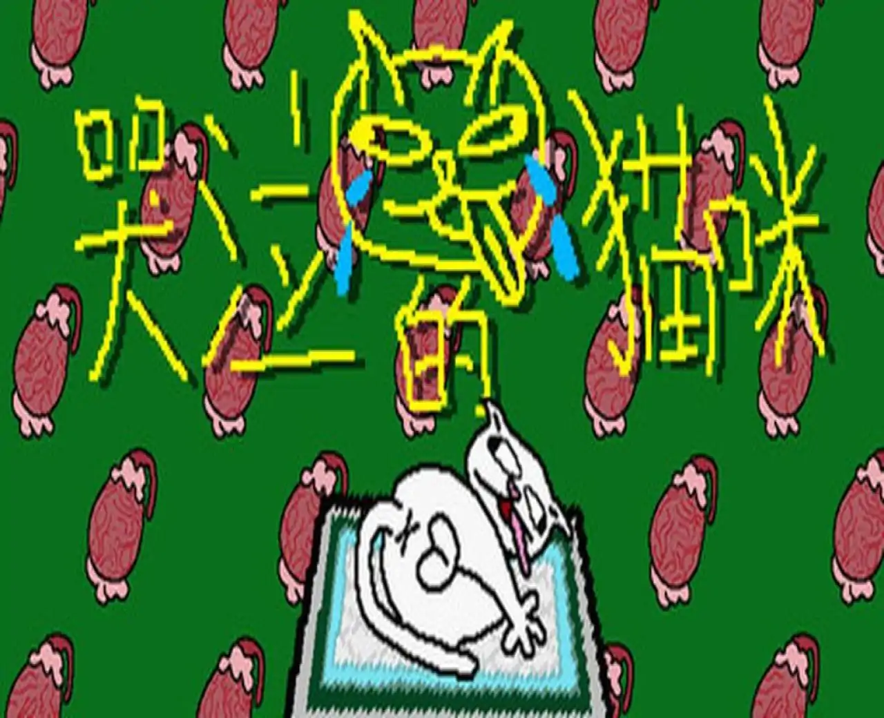 哭泣的猫咪
