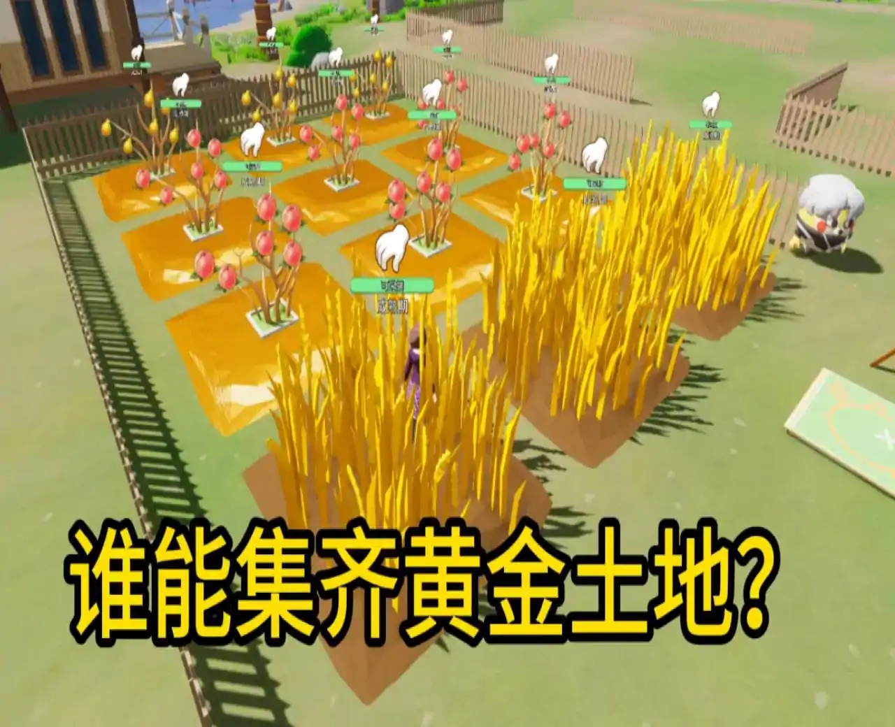 别卷了，种田吧！