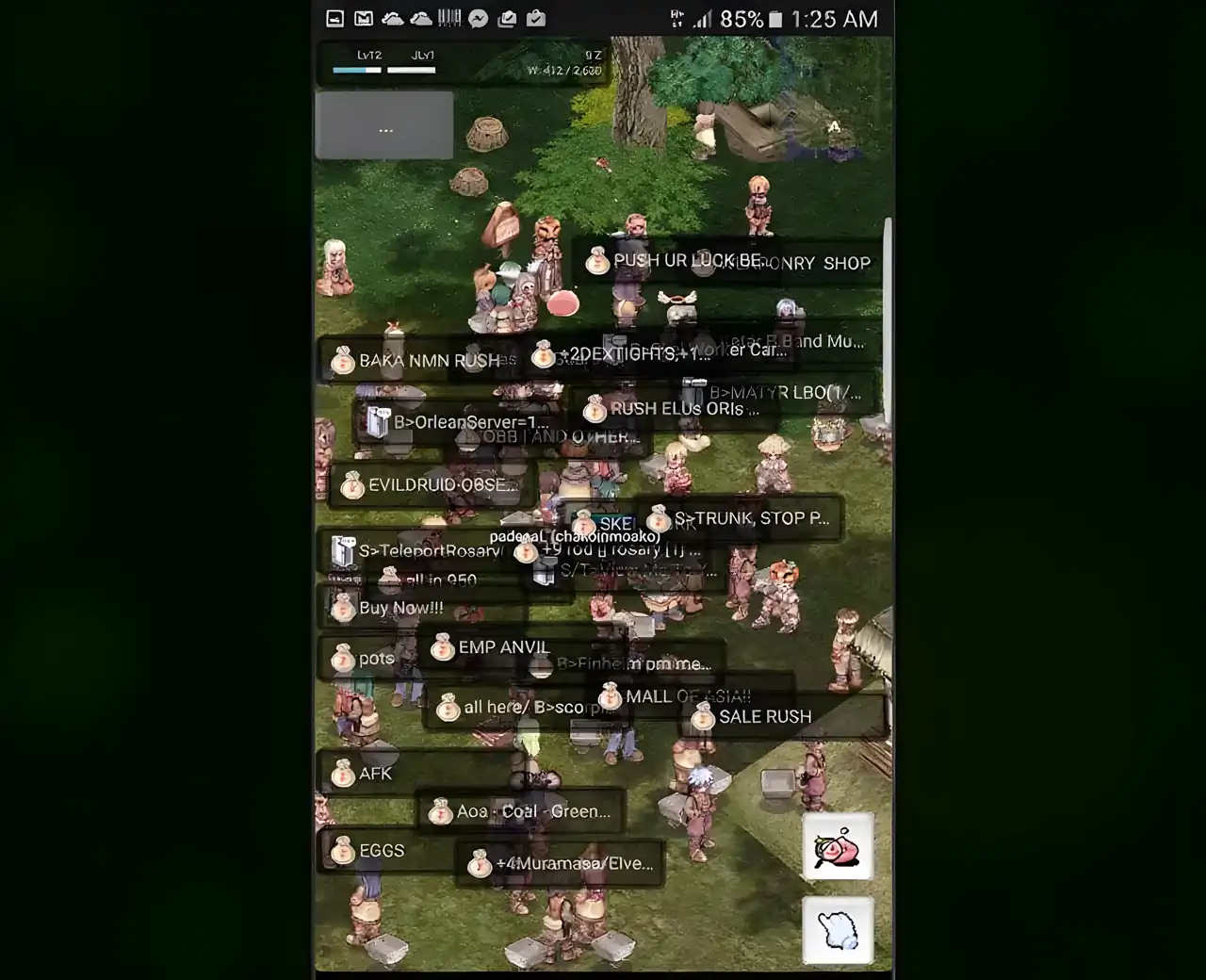 RagnarokValkyriePRO