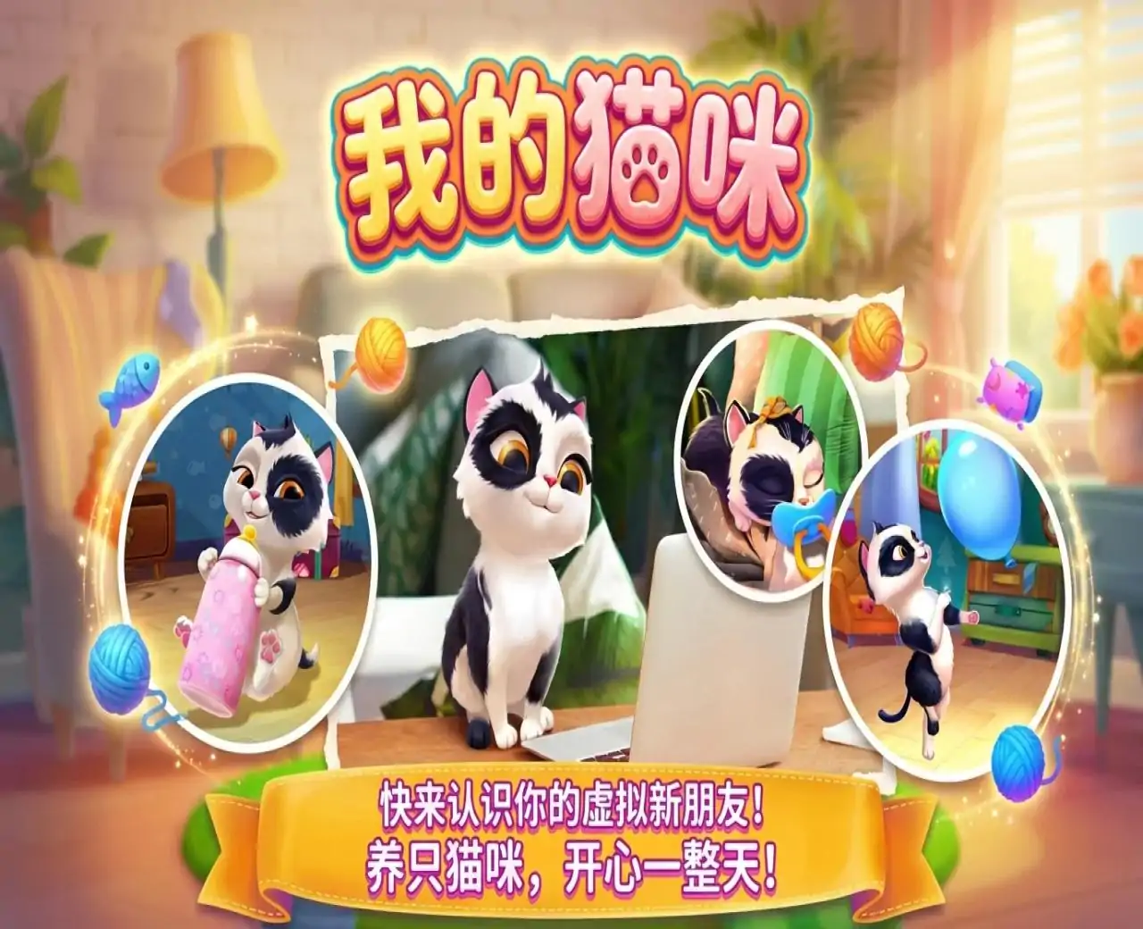 我的猫咪