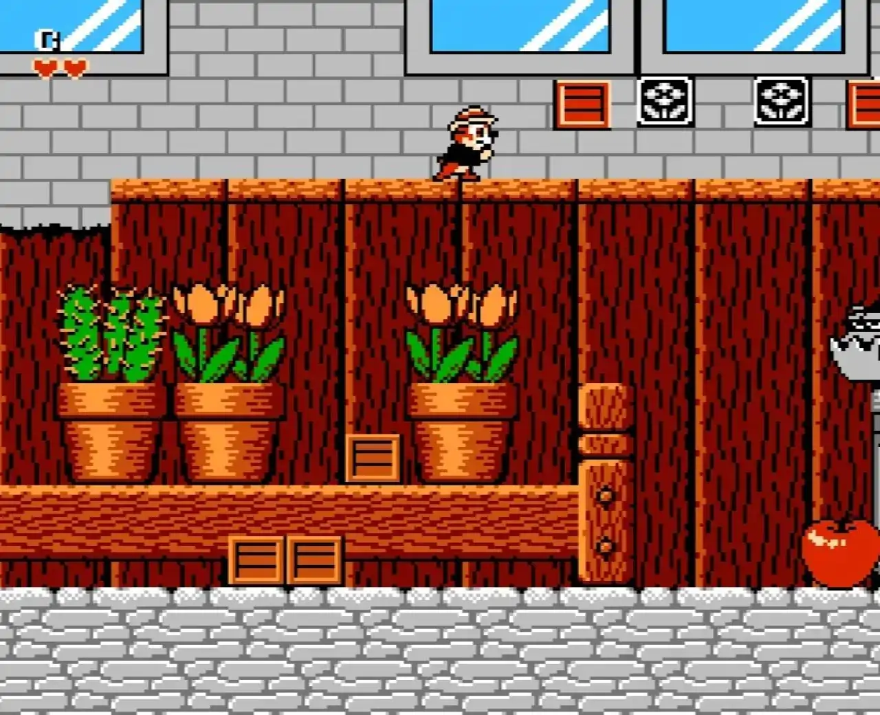 松鼠大作战（奇奇与蒂蒂大作战）