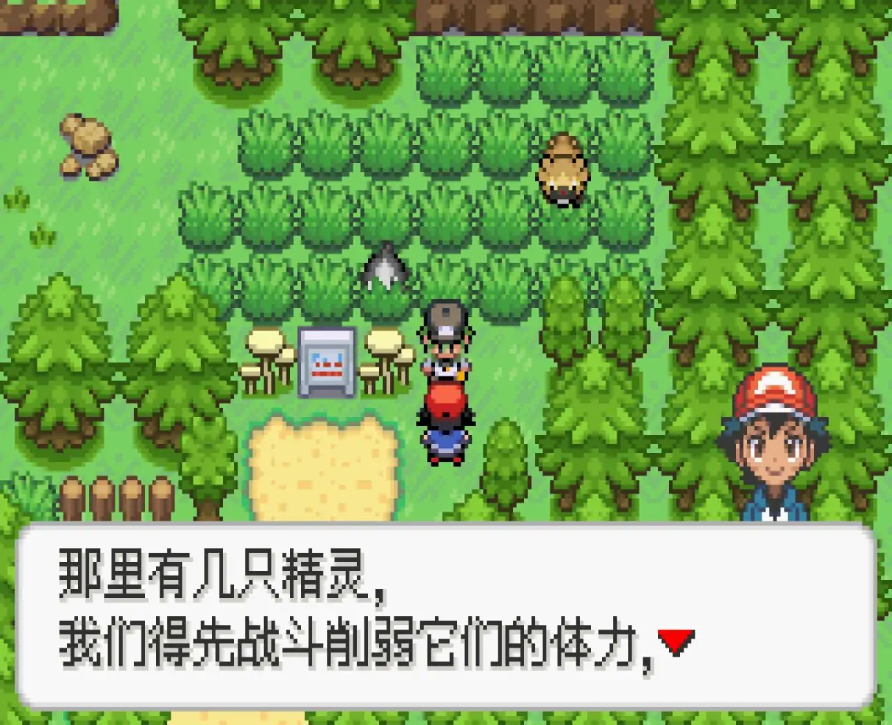 宝可梦龙之石3（GBA游戏）