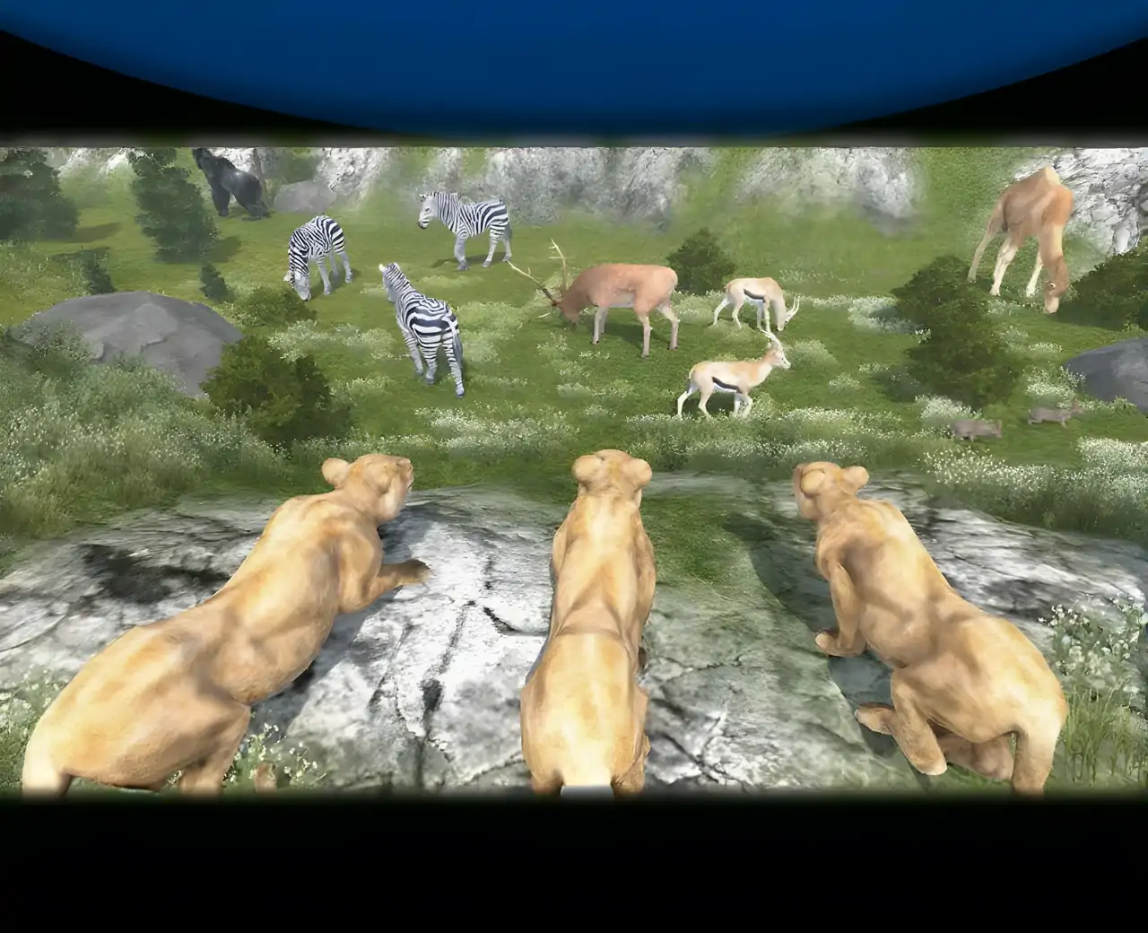 野生母狮模拟器