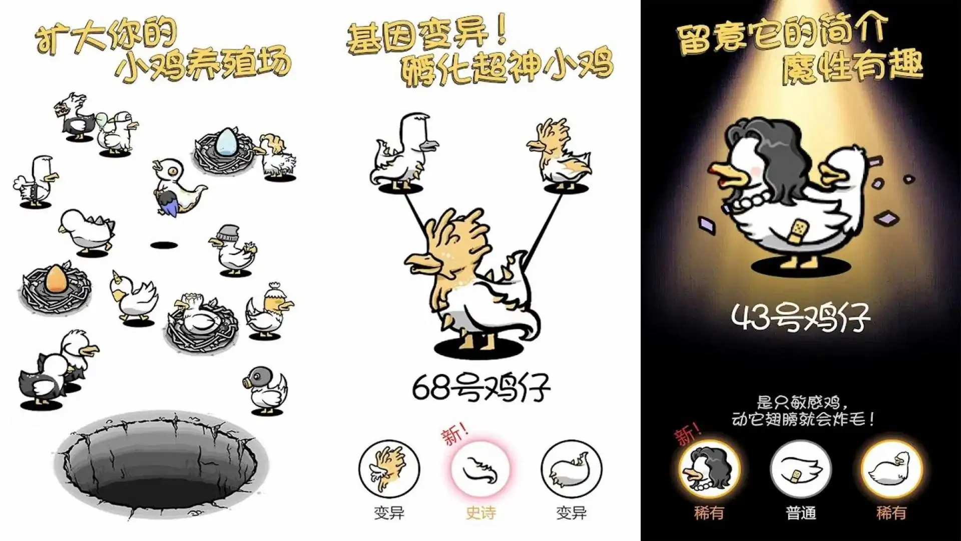 小鸡真奇怪：进化变异蛋