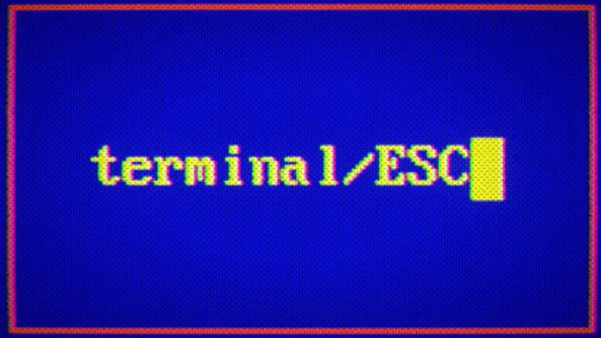 Terminal ESC