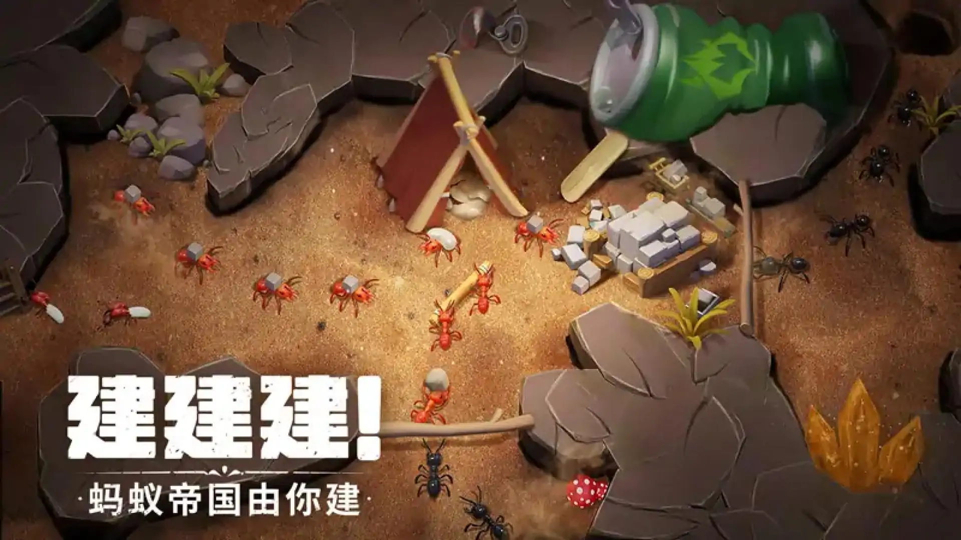 蚁族崛起