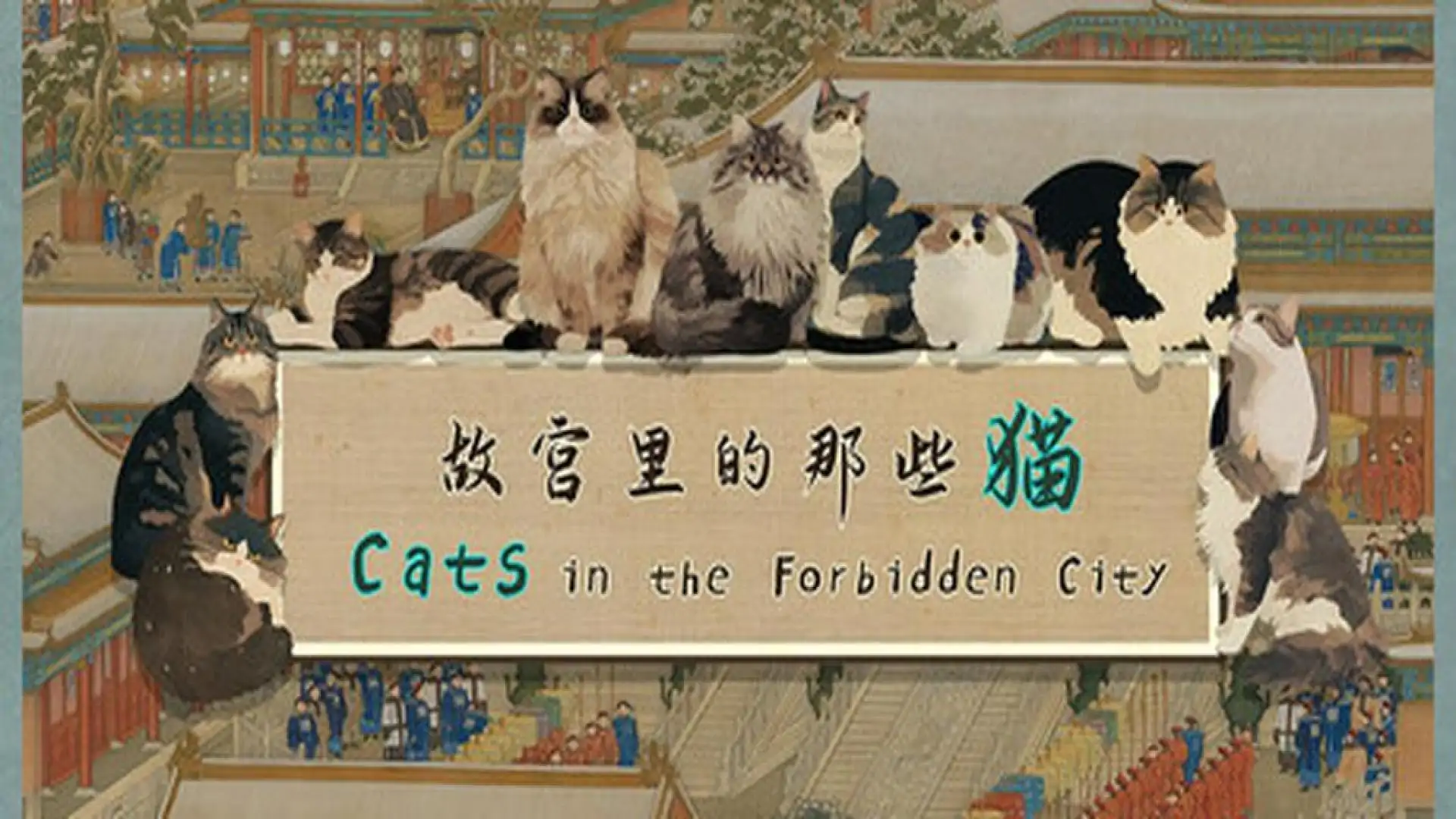 故宫里的那些猫