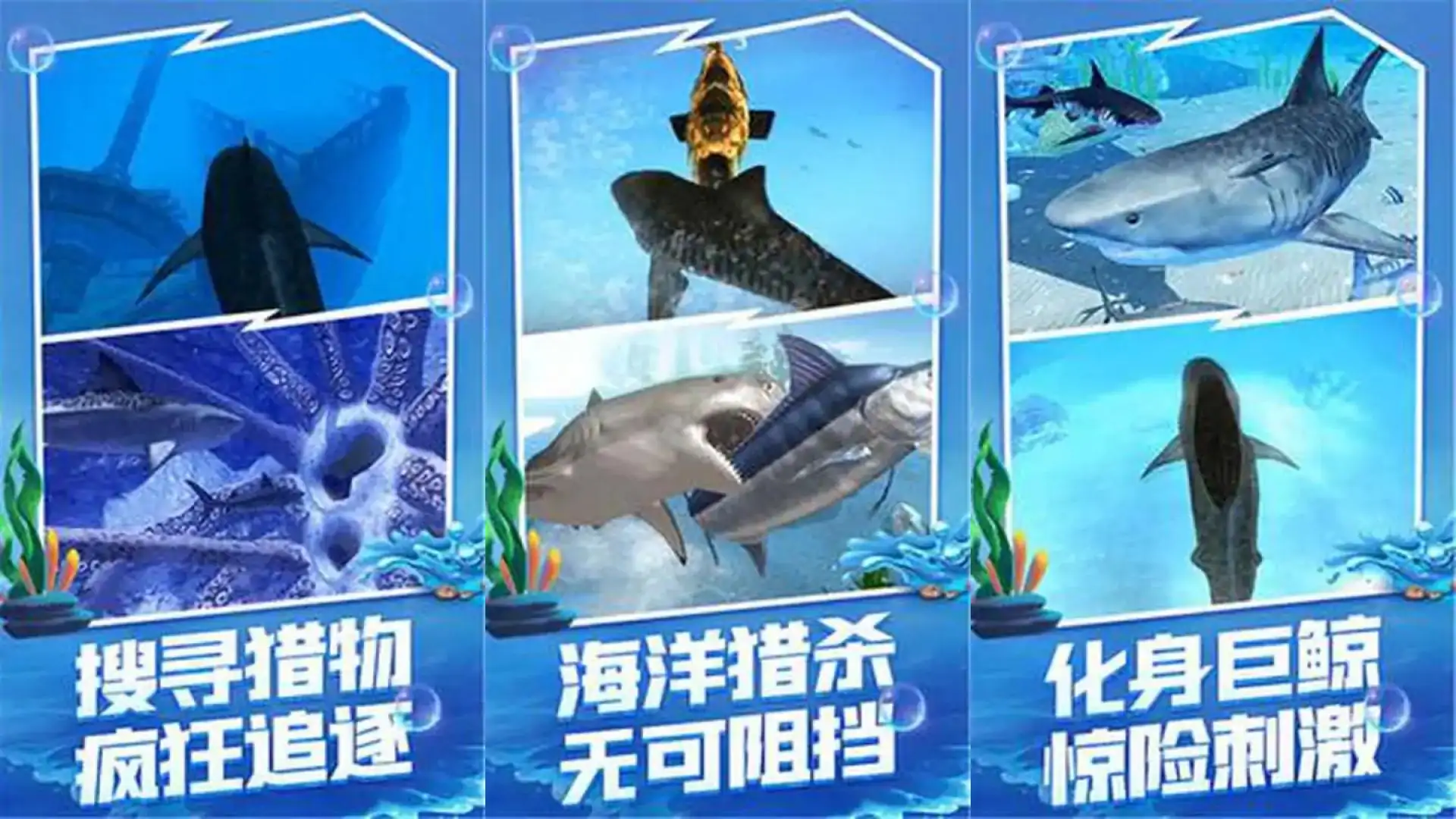 神秘海域