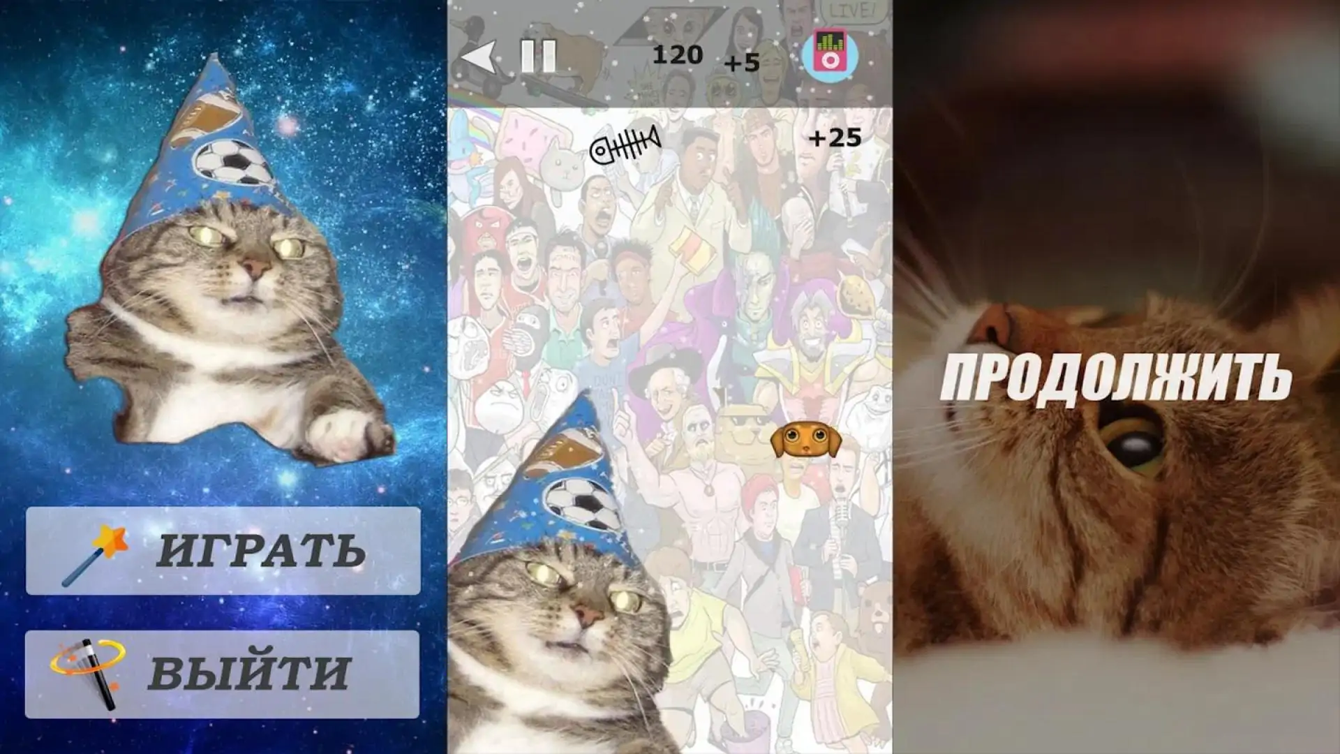 猫Vzhukh