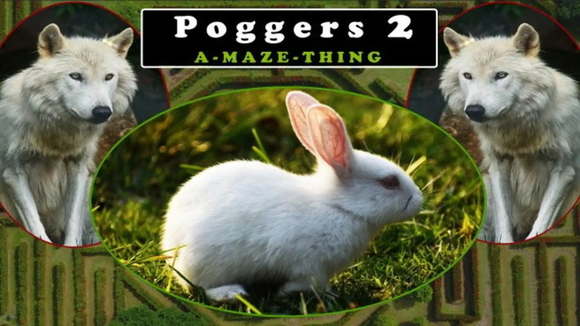 Poggers 2 - A-Maze-Thing