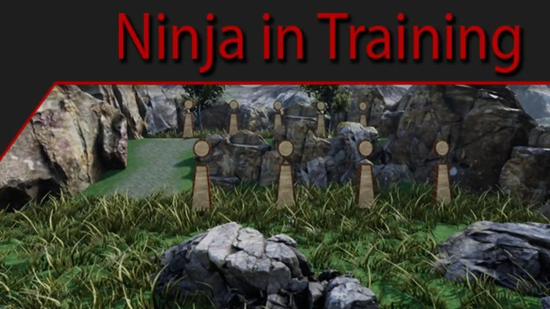 Ninja in Training