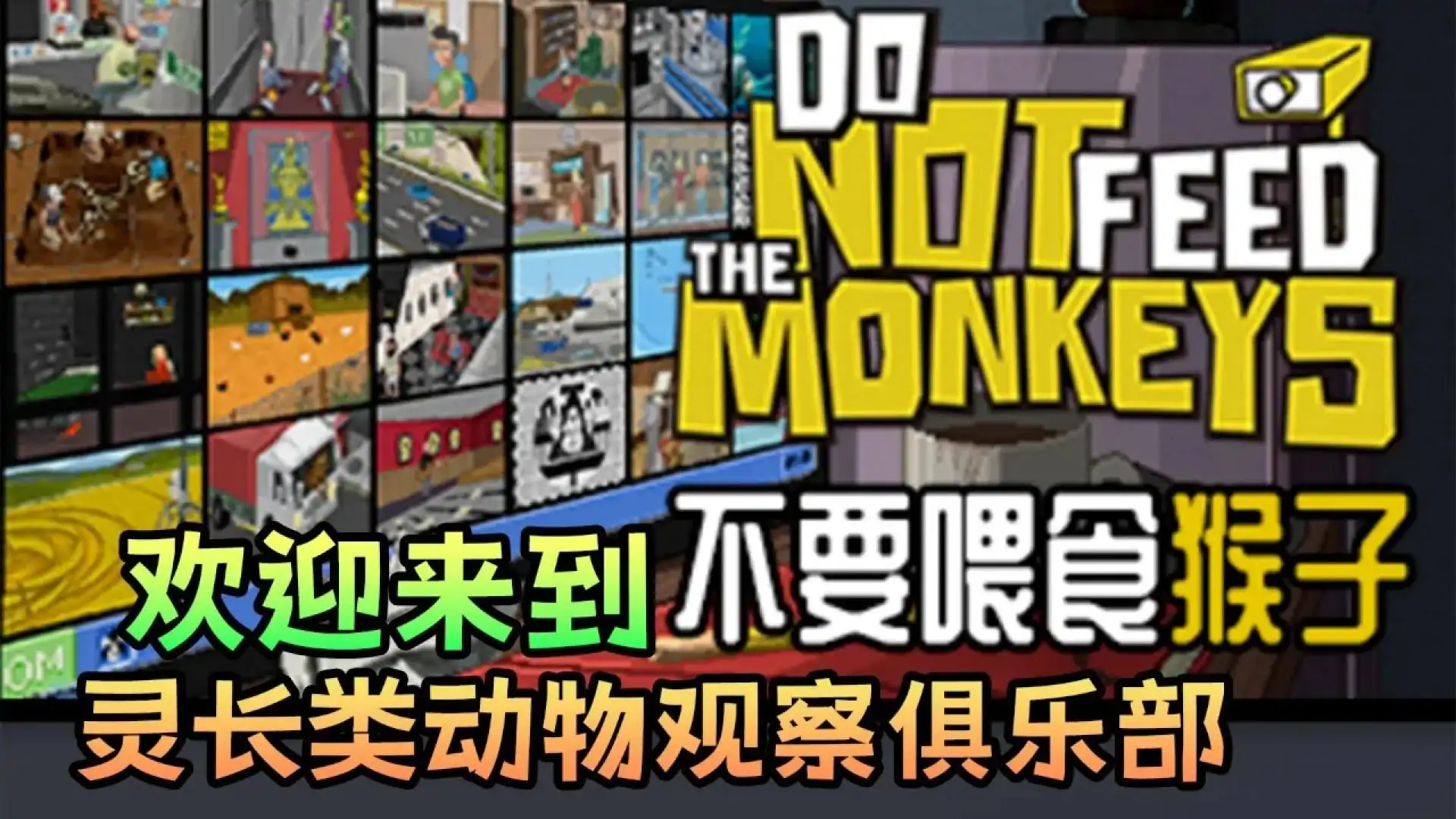 不要喂猴子